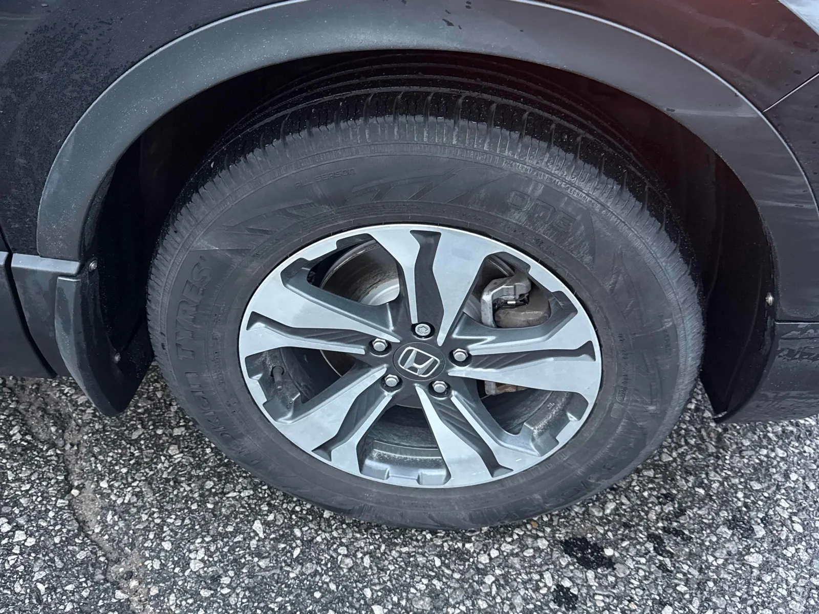 Tire