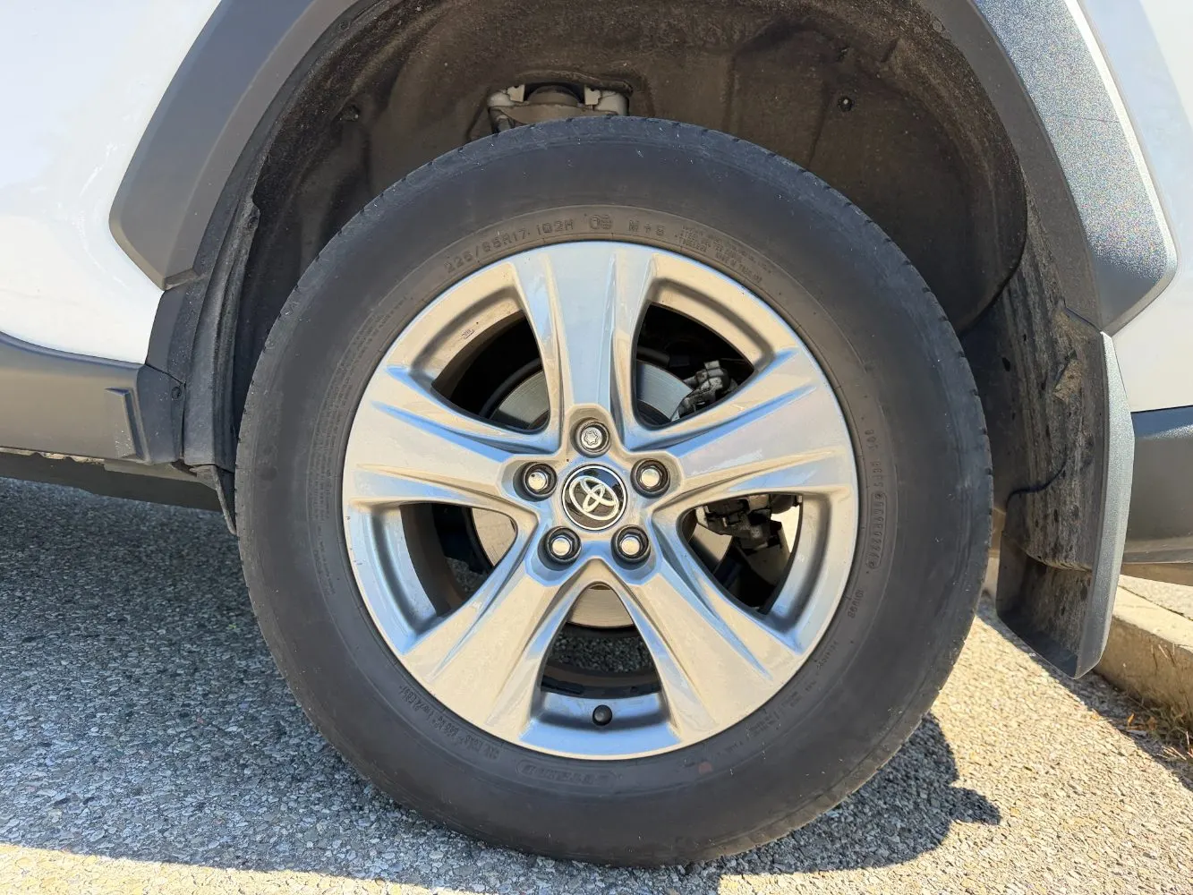 Additional Photo