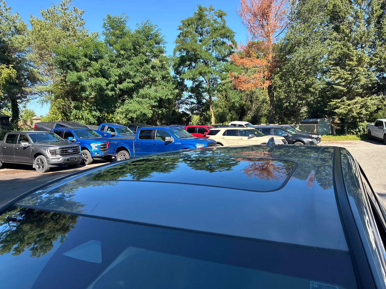 Additional Photo