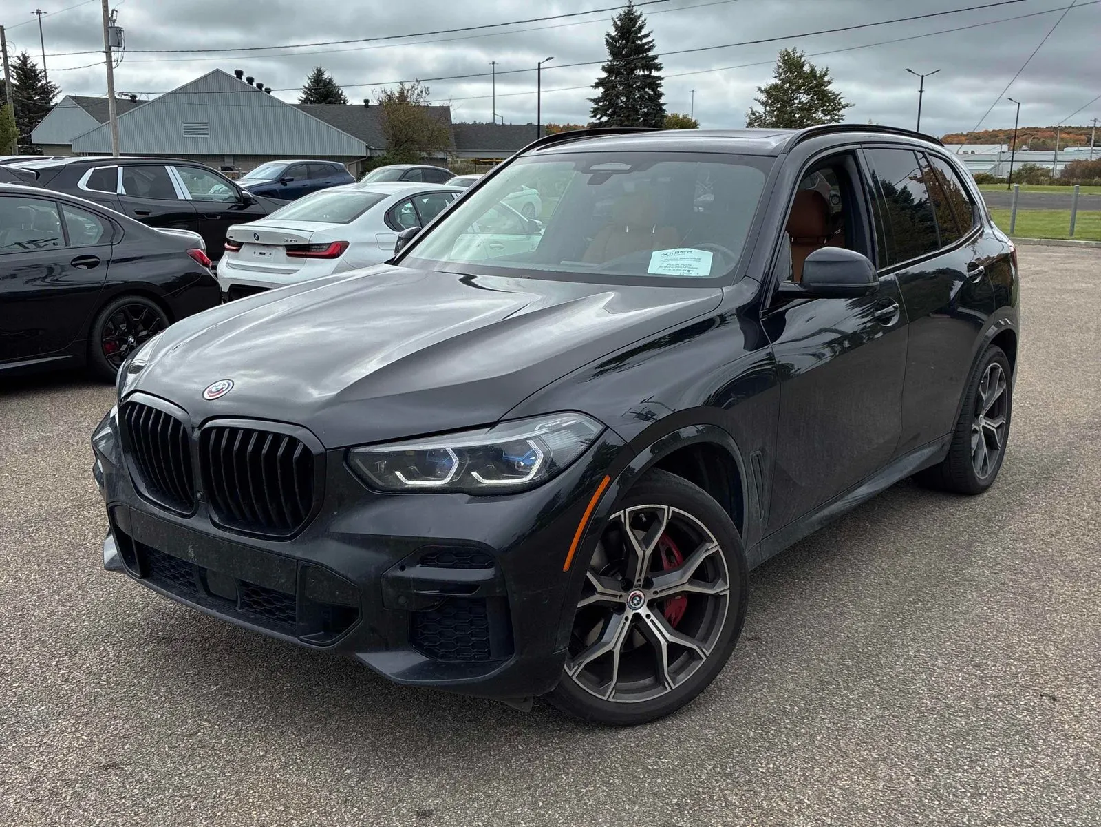 2023 BMW X5