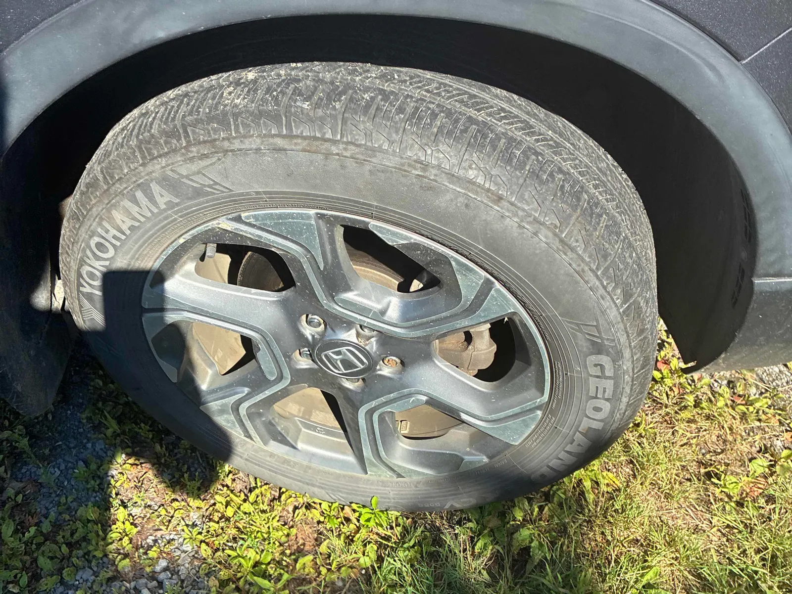 Tire