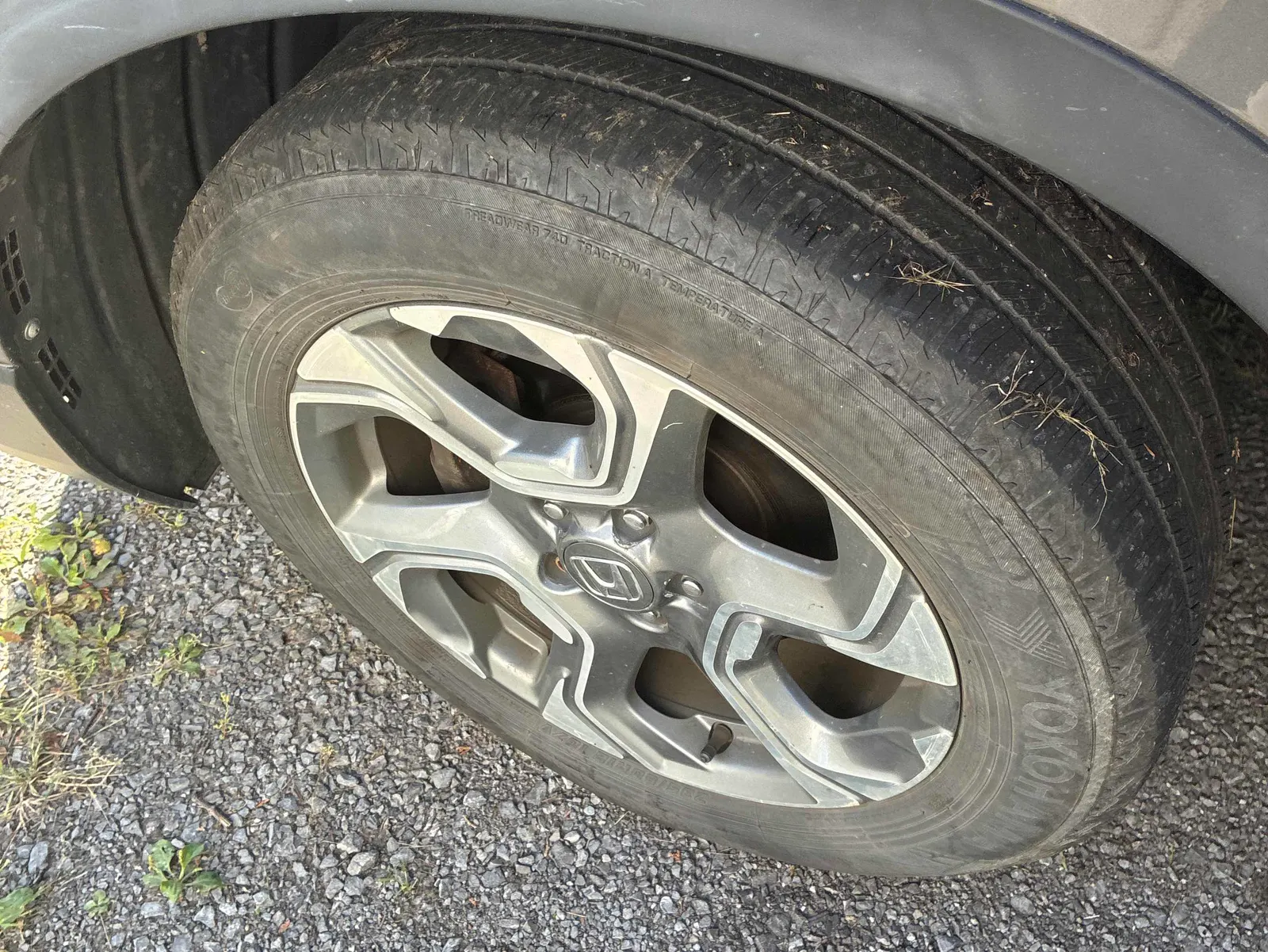Additional Photo