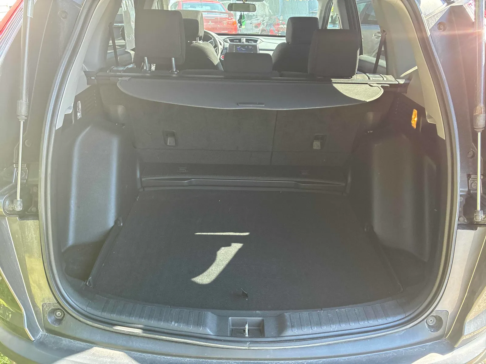 Additional Photo