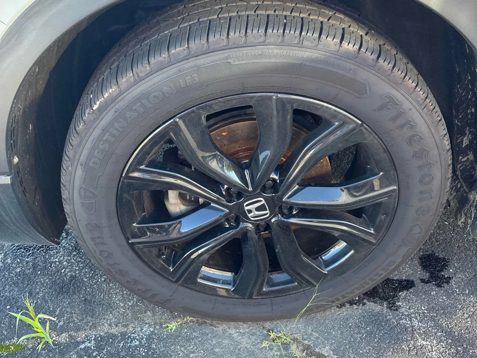 Tire