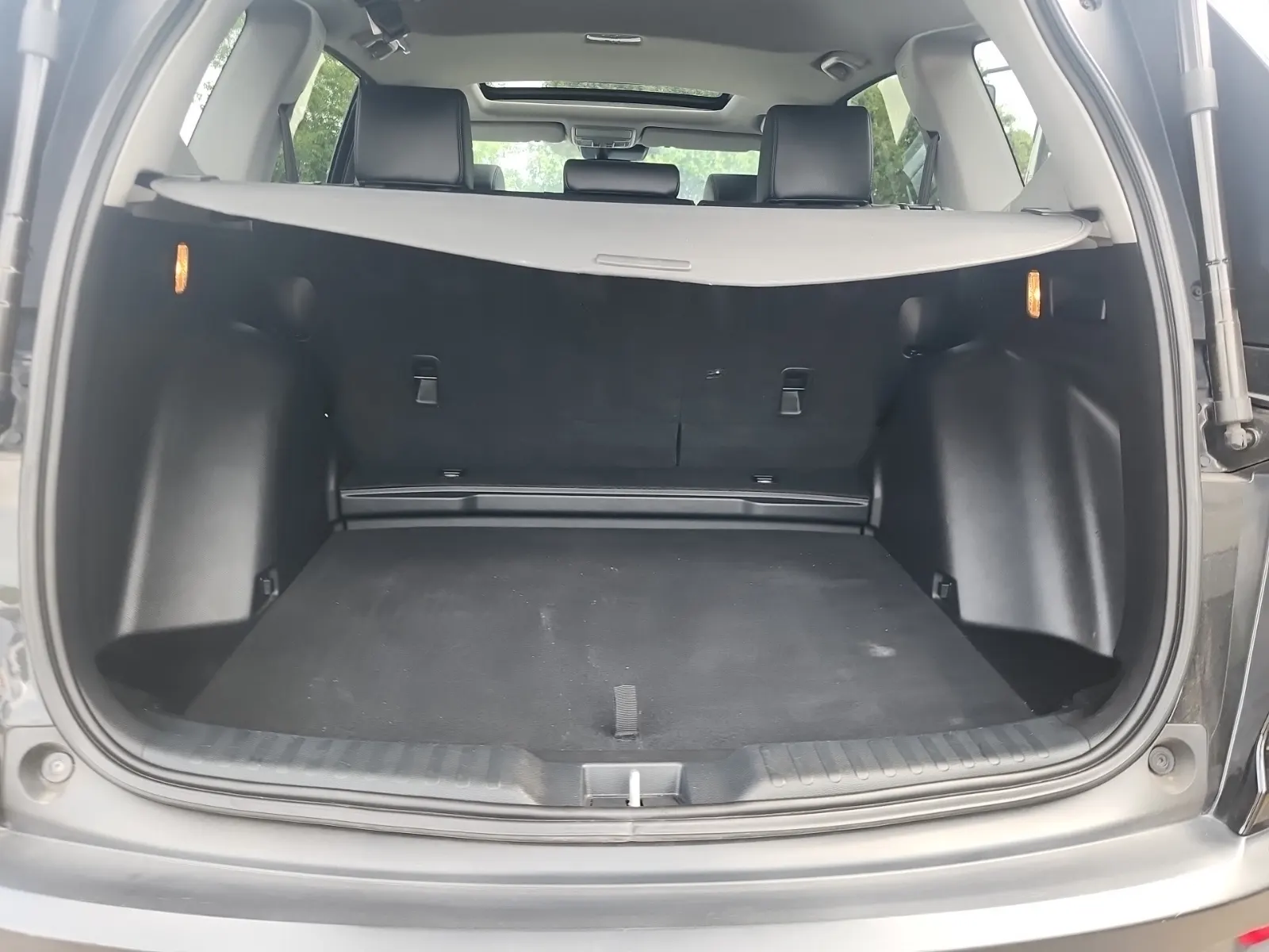 Cargo Area Photo