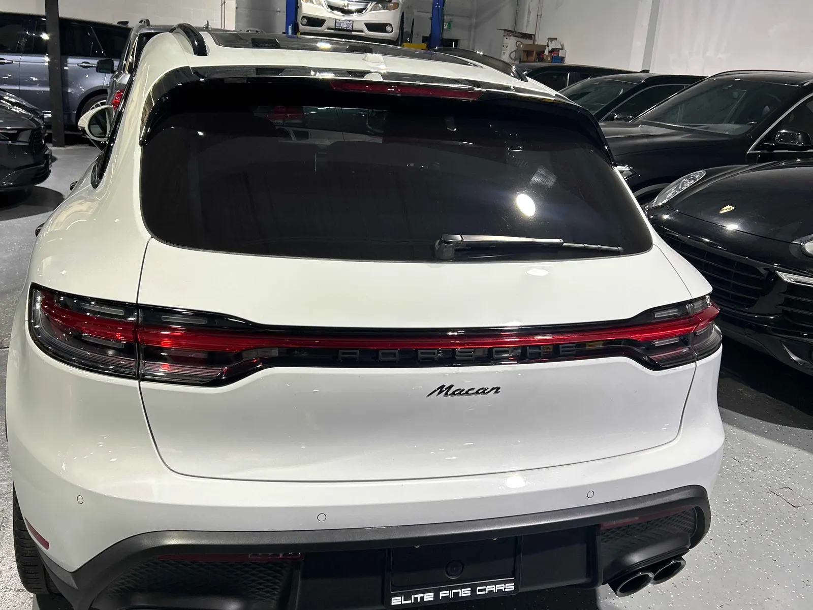 Back
