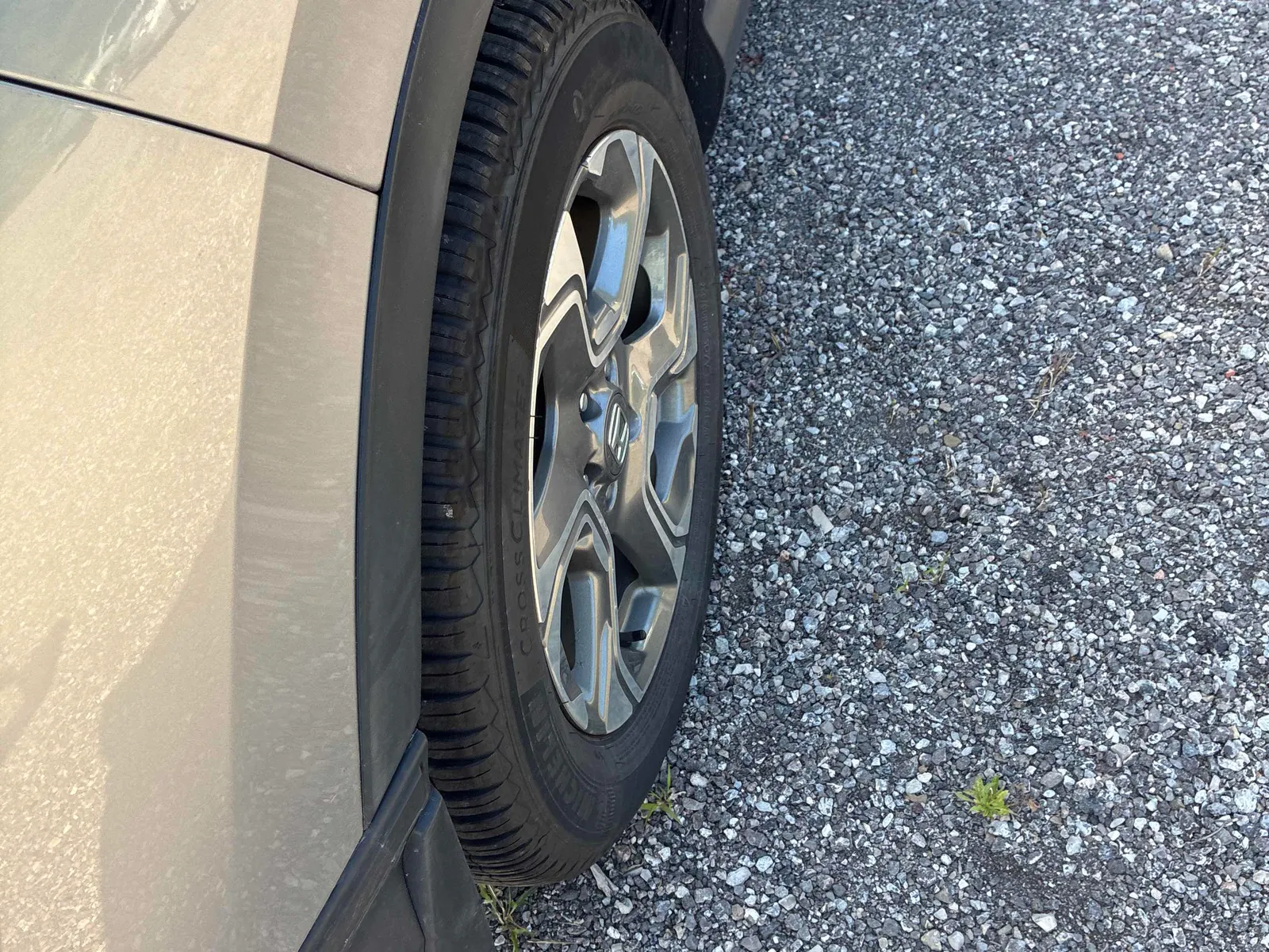 Additional Photo