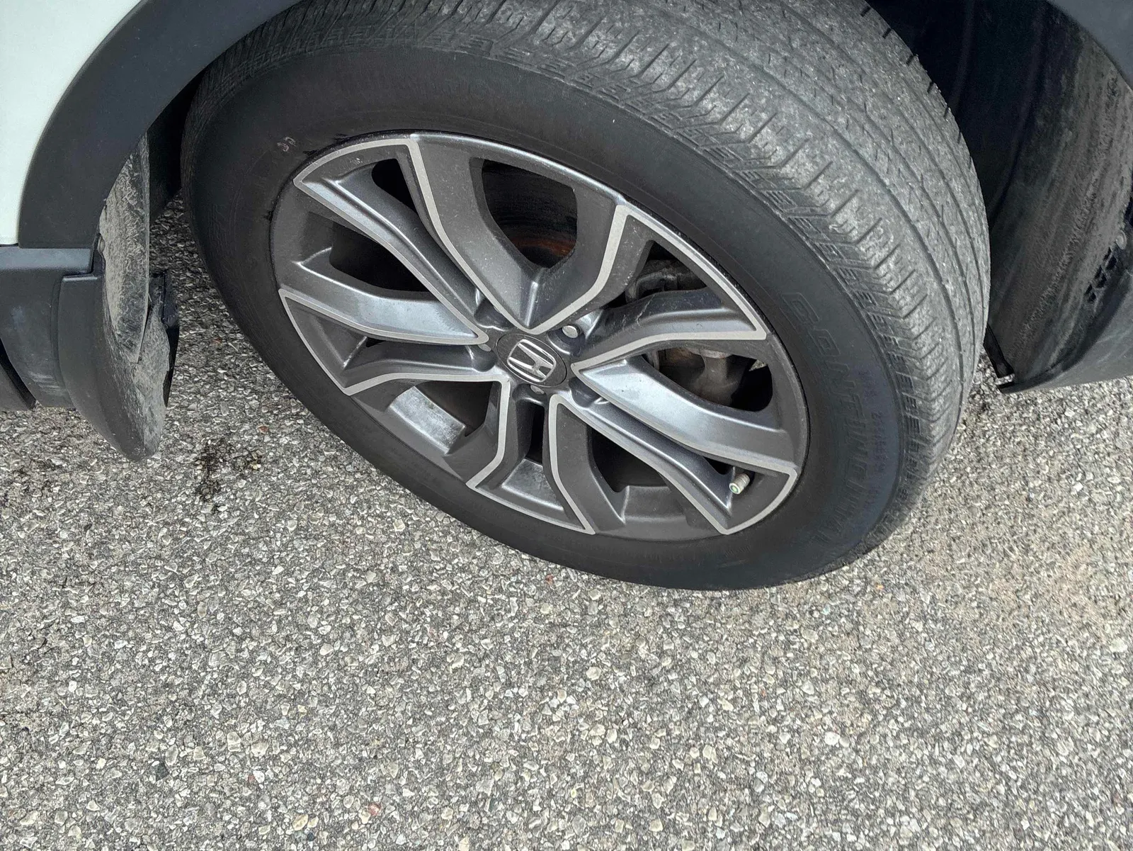 Tire