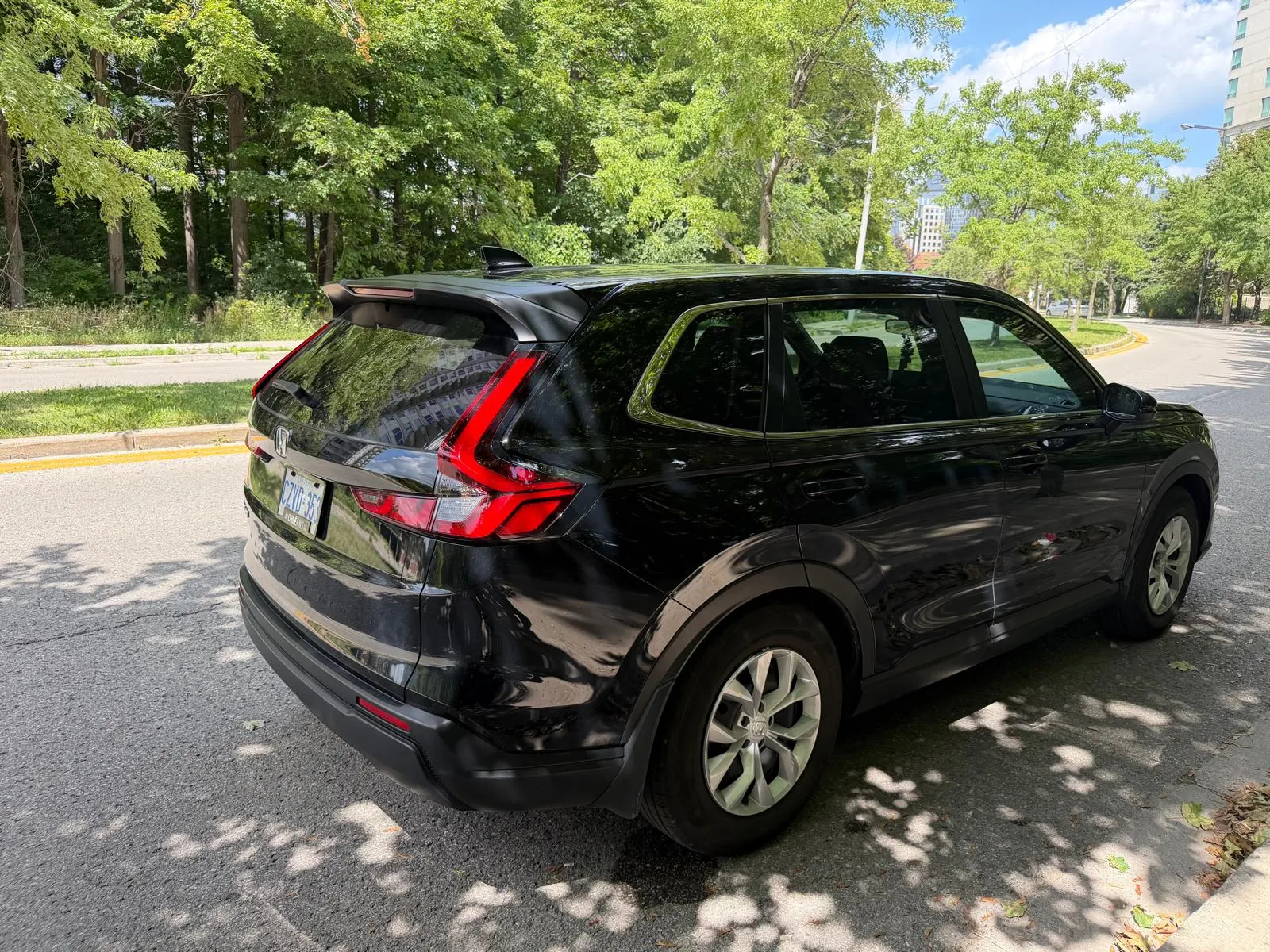 Additional Photo