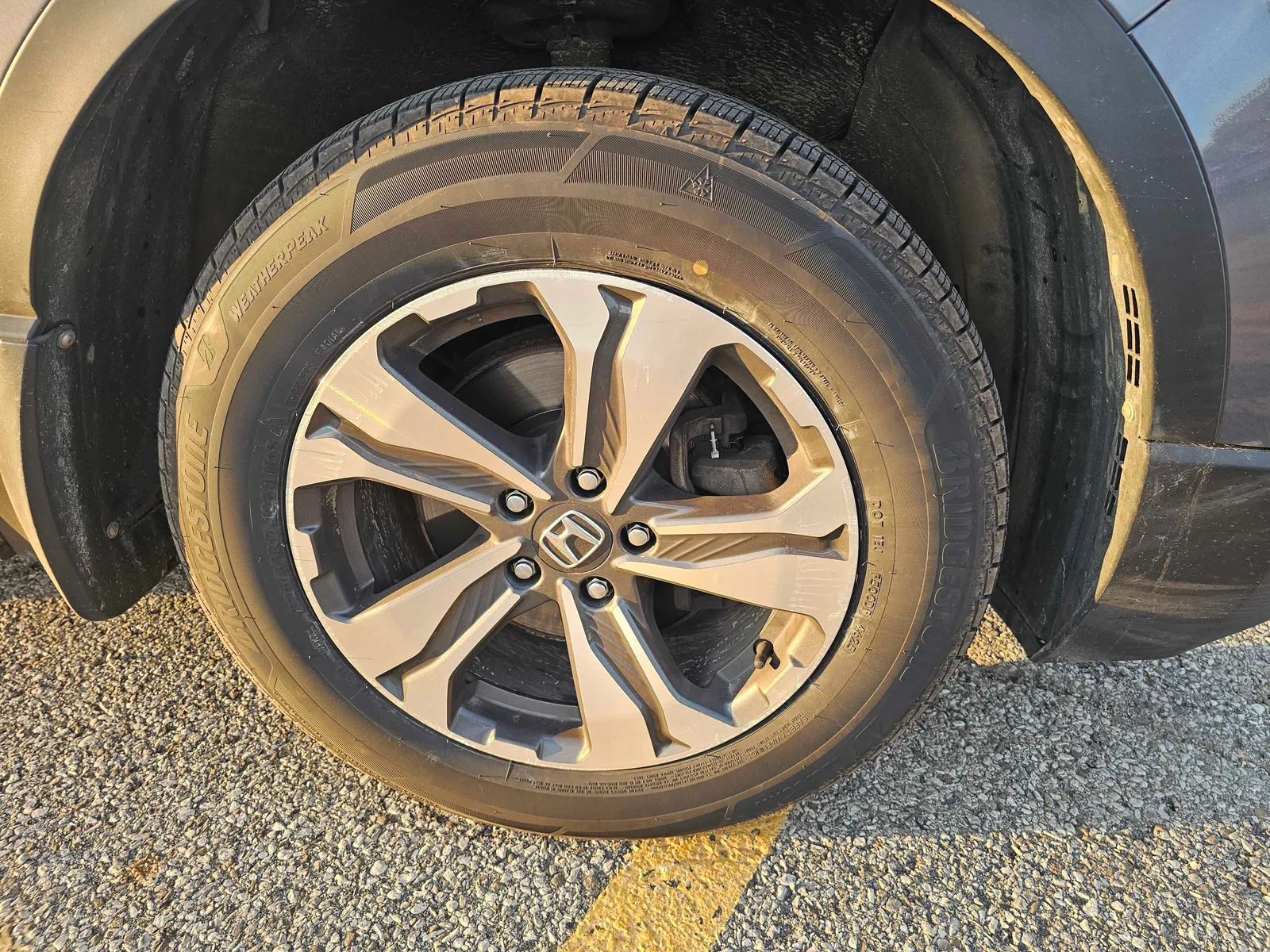 Tire