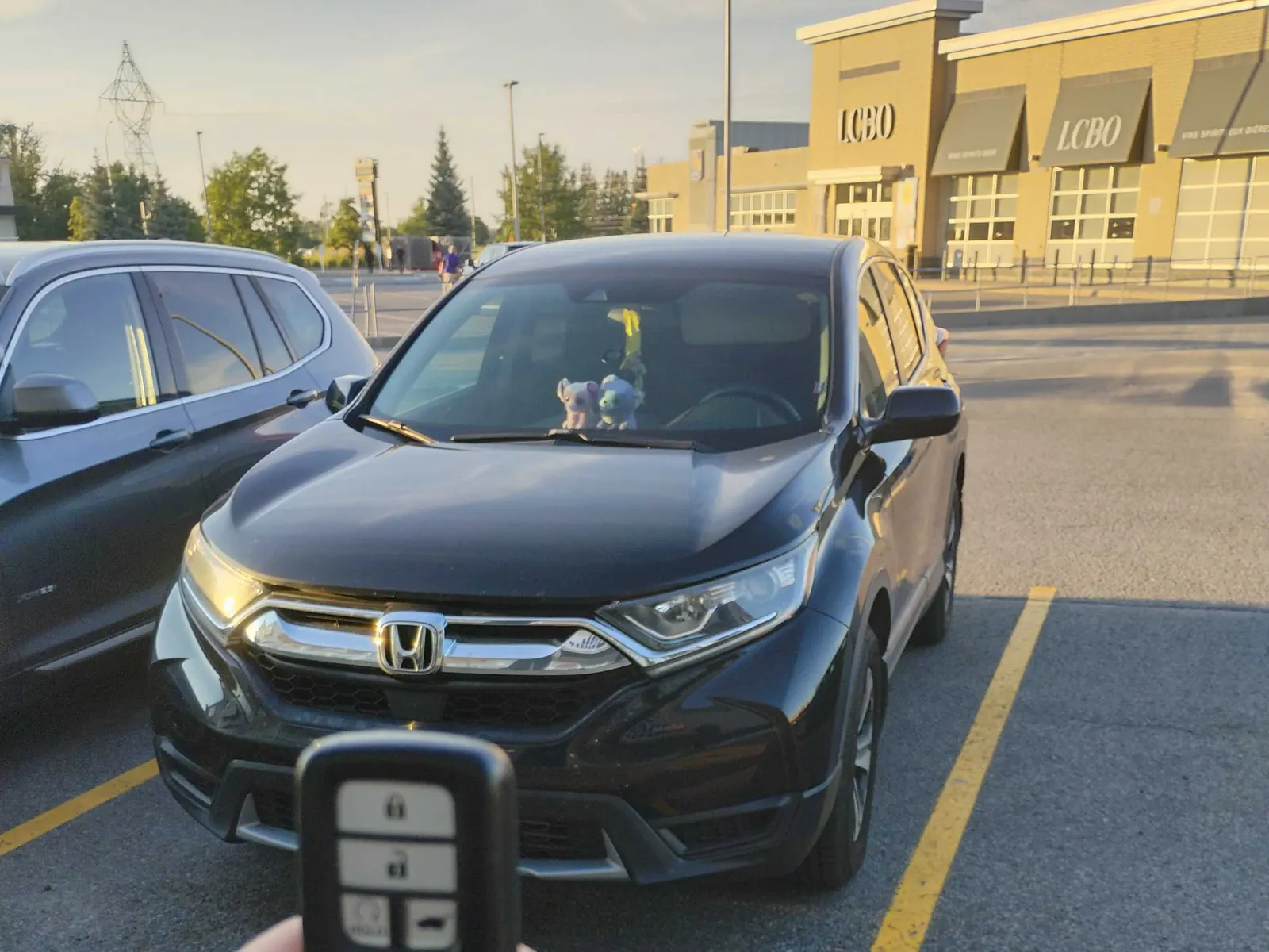 2019 Honda CR-V