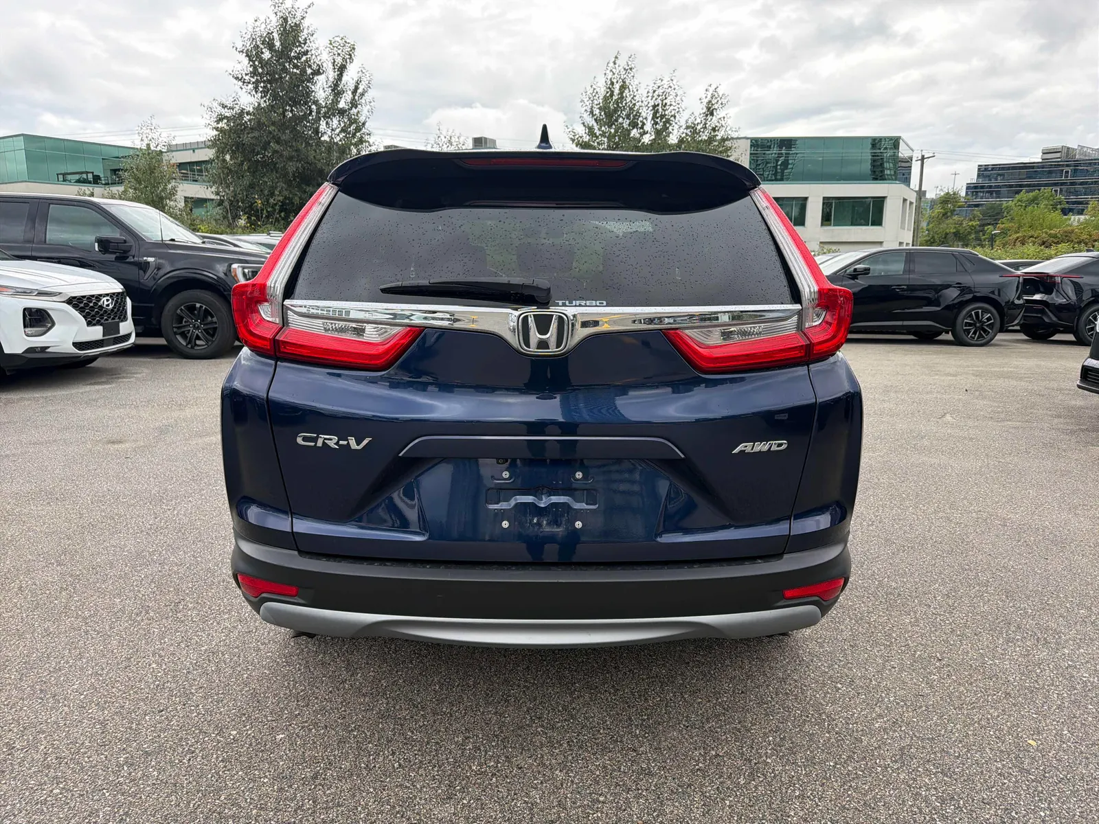 Back