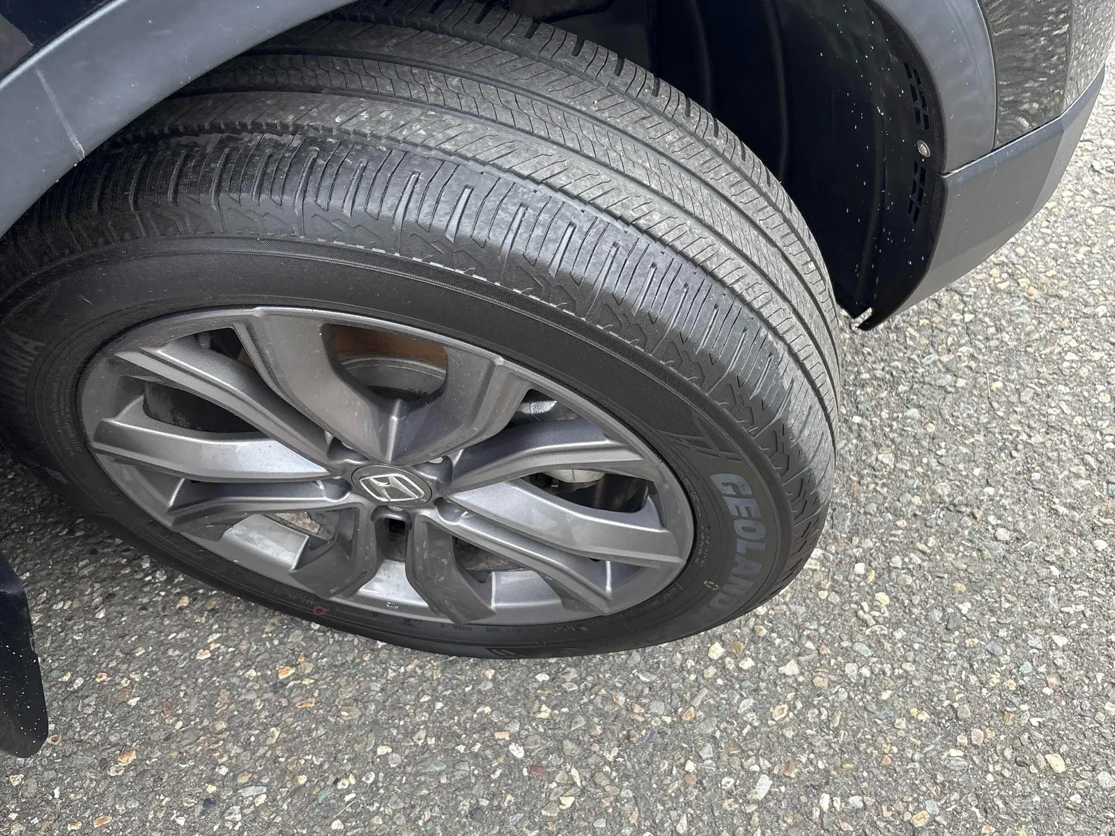 Tire