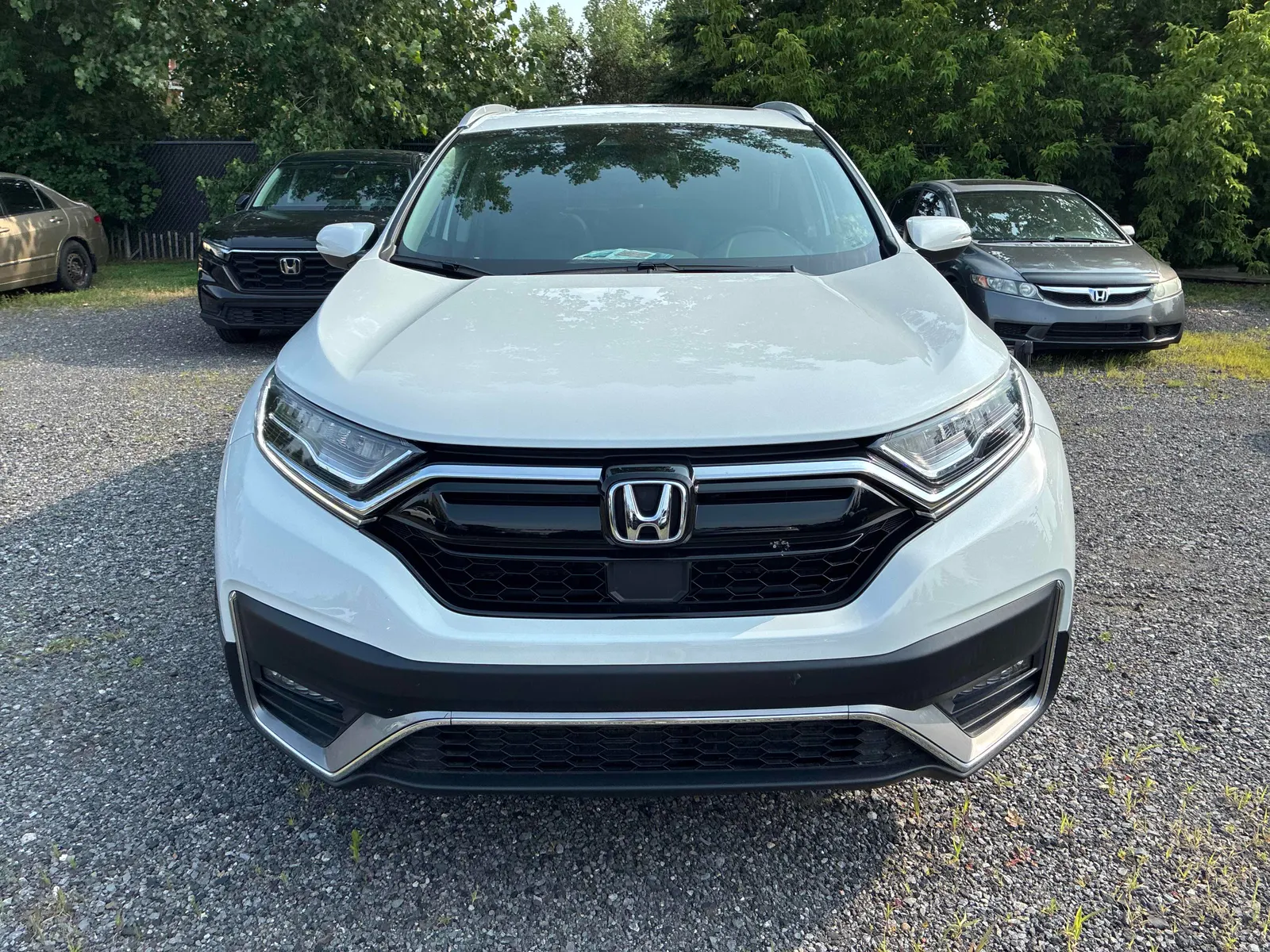 Front