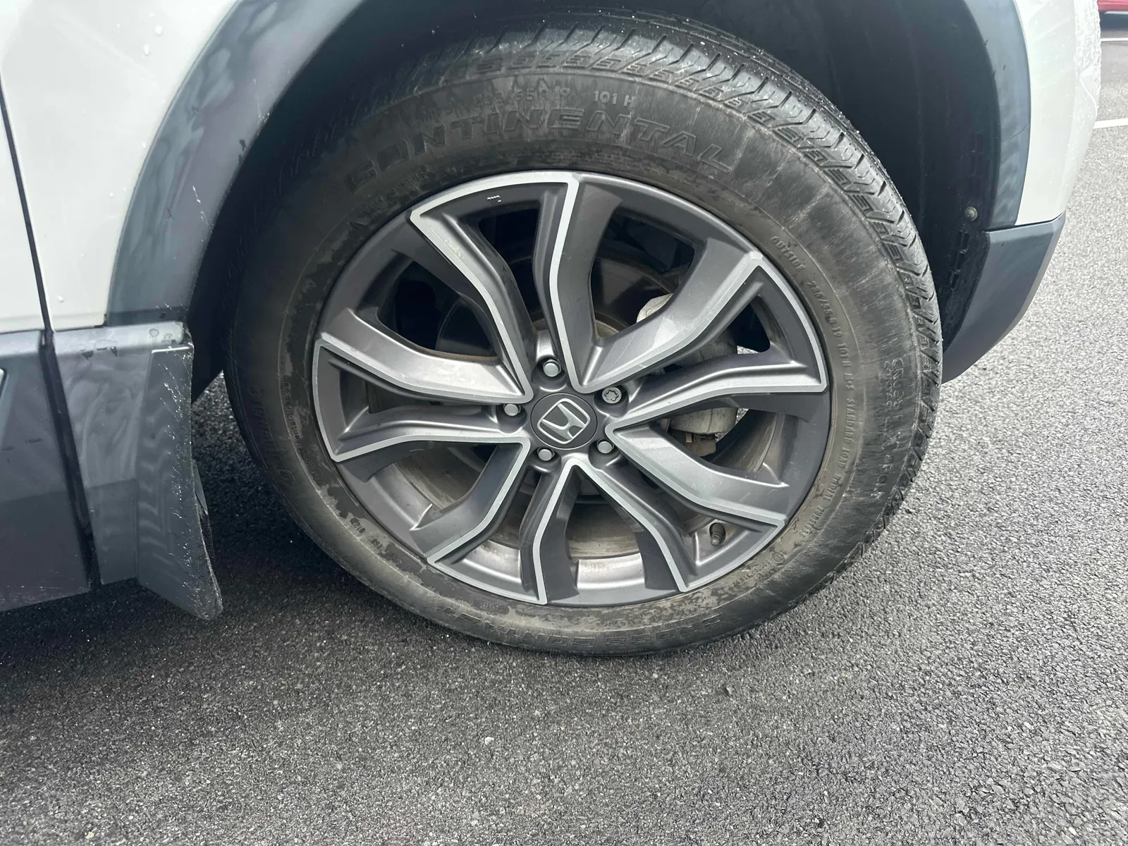 Tire