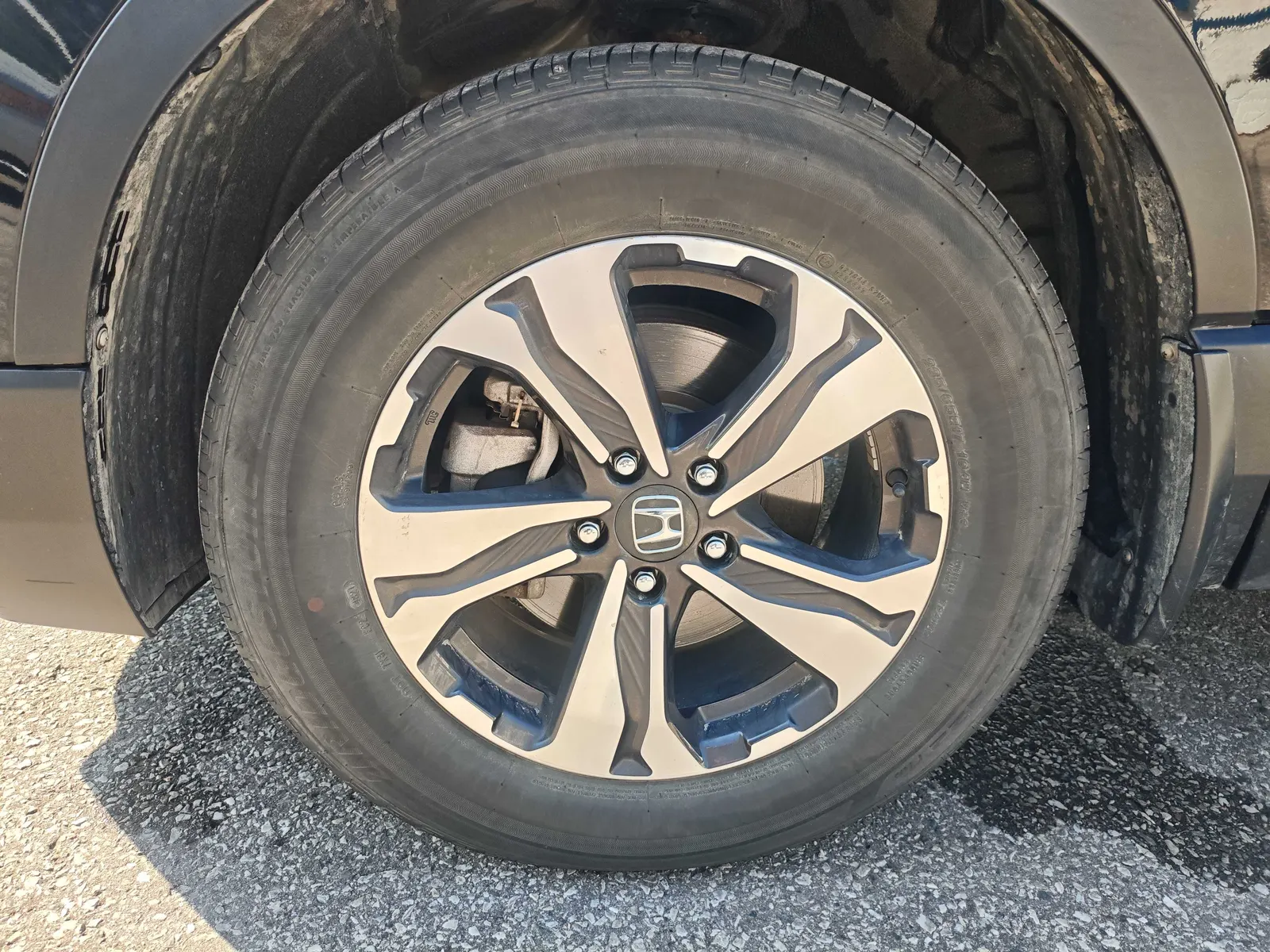 Tire