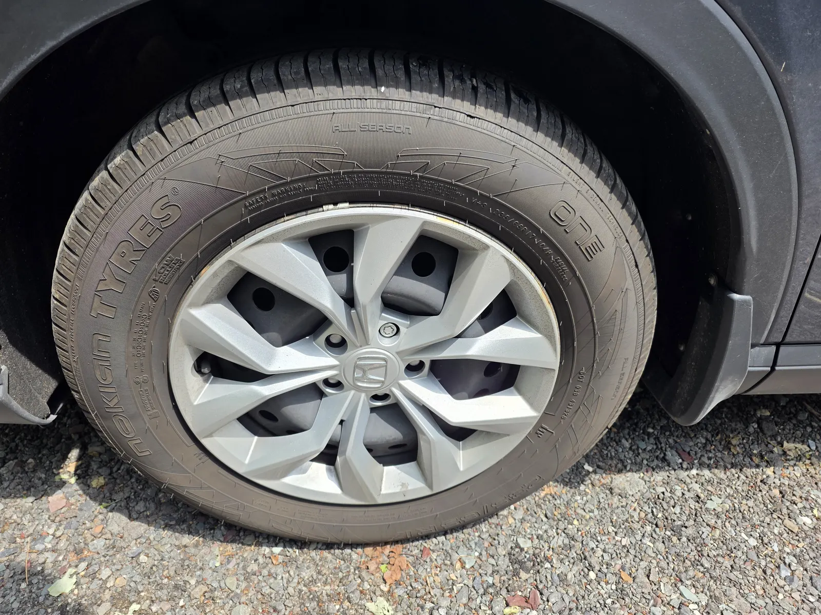 Additional Photo