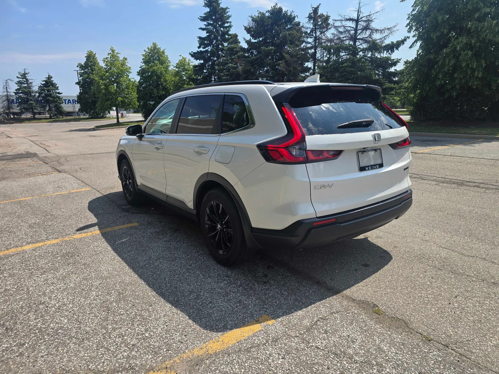 Additional Photo