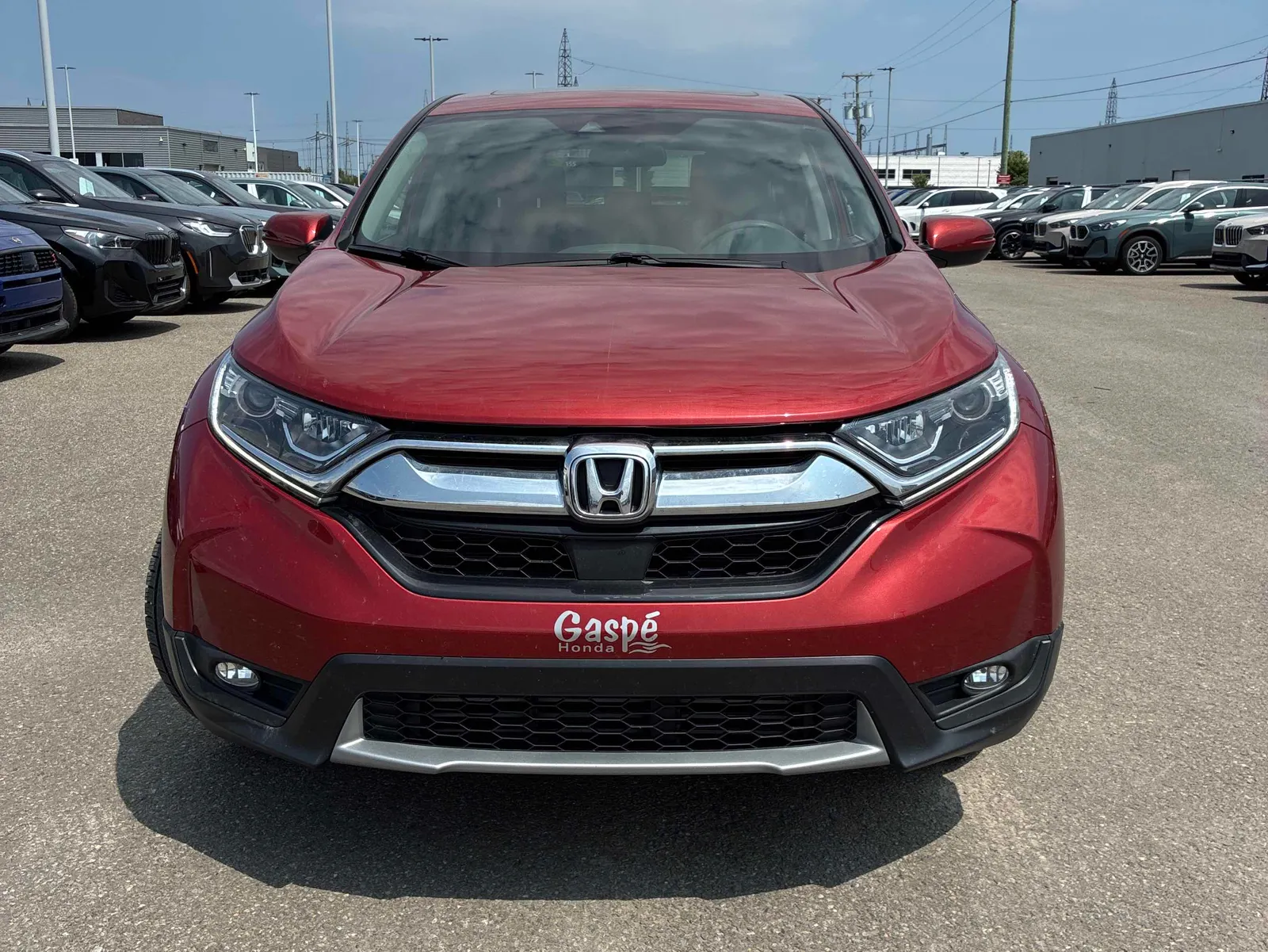 Front