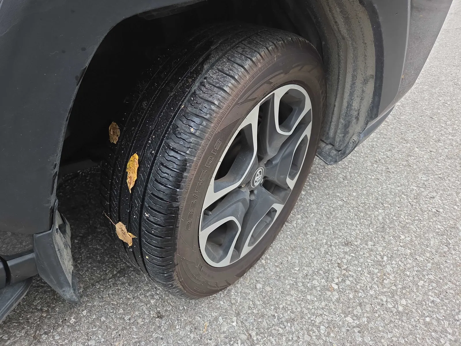 Tire