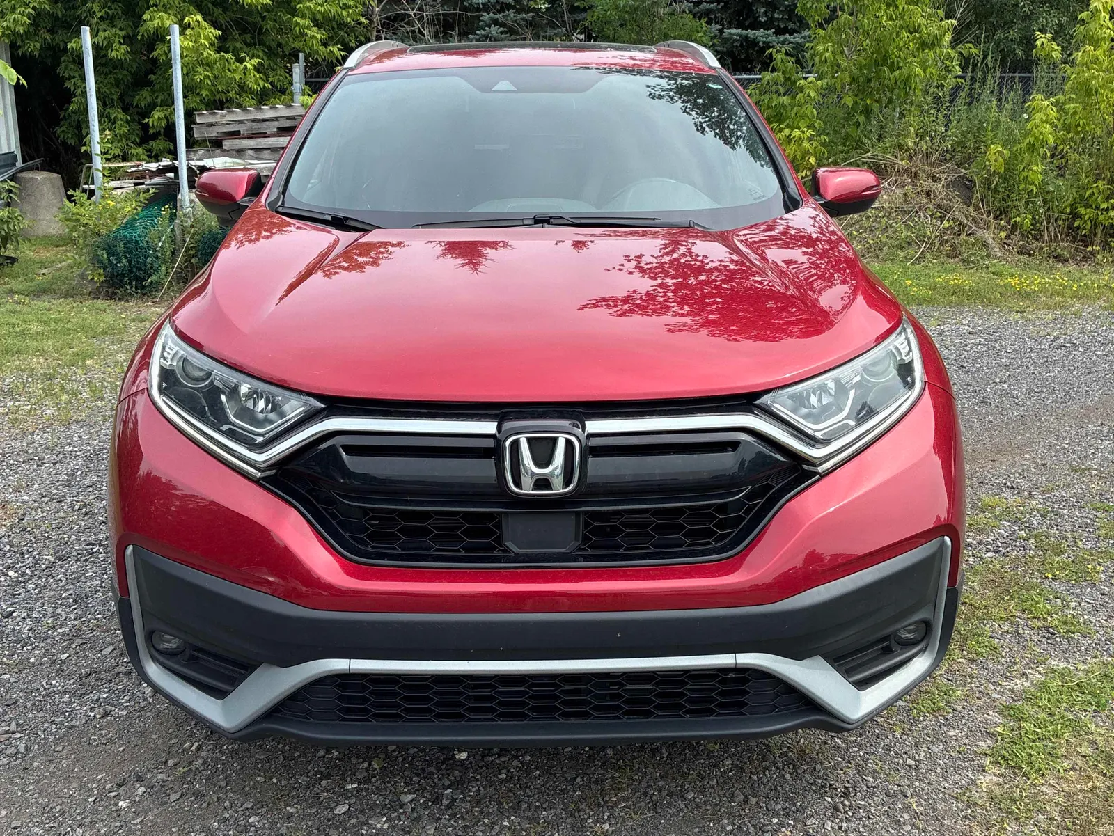 Front