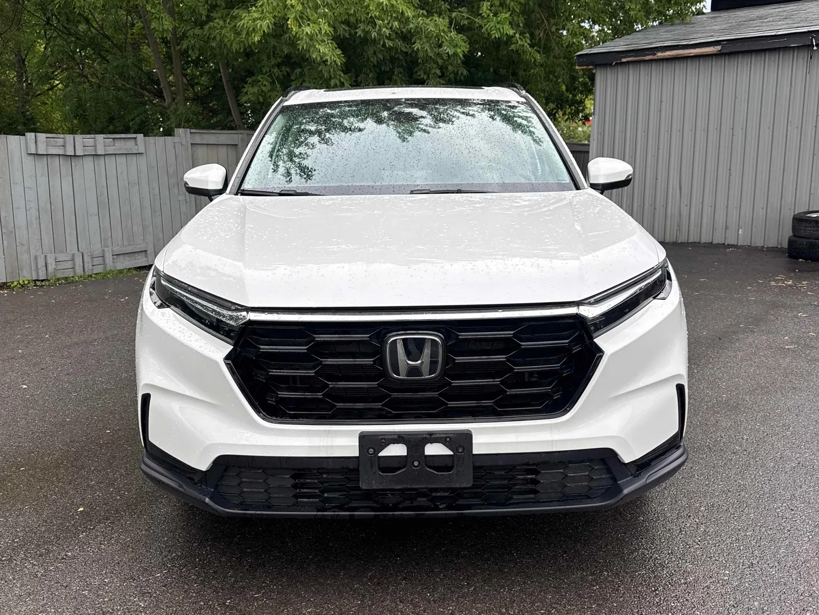 Front