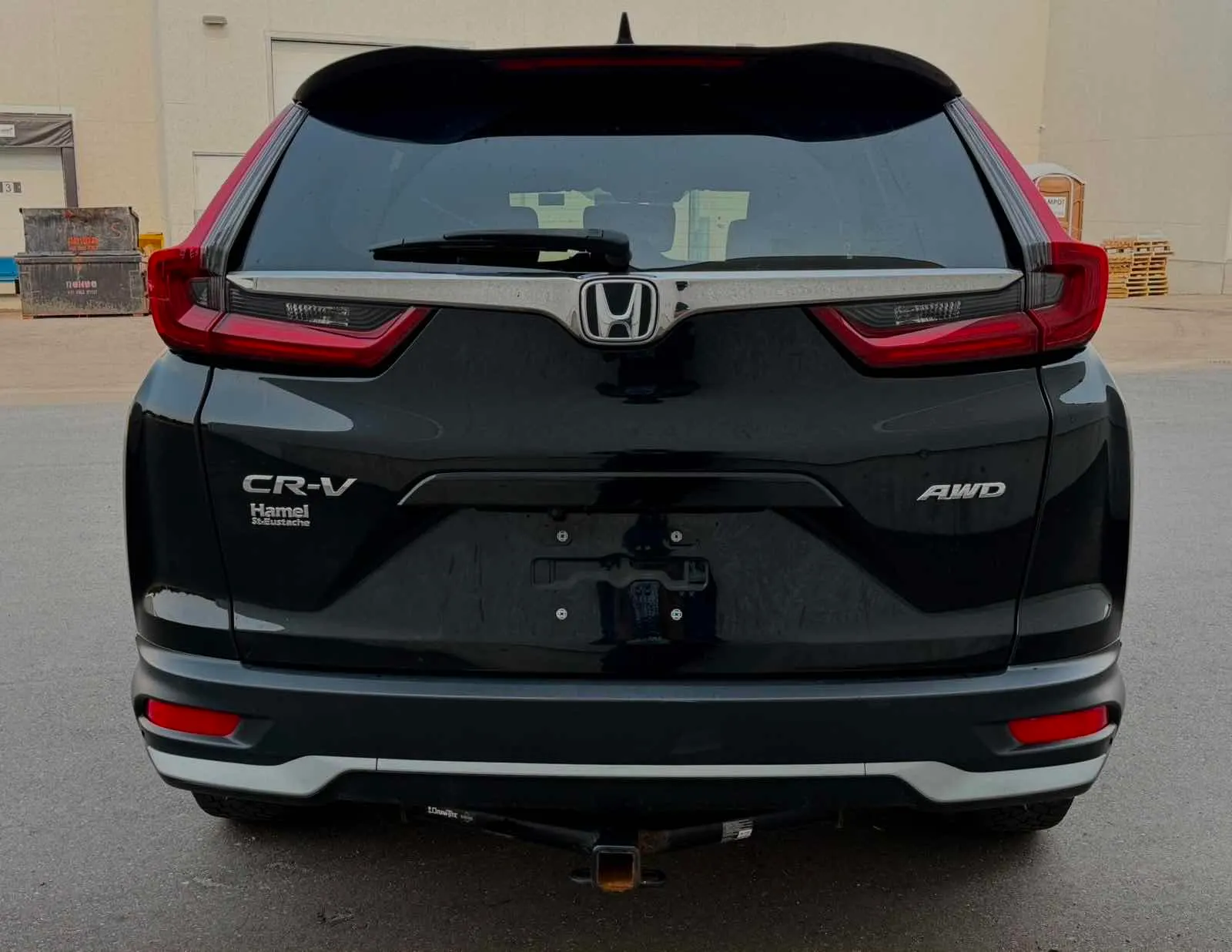 Back