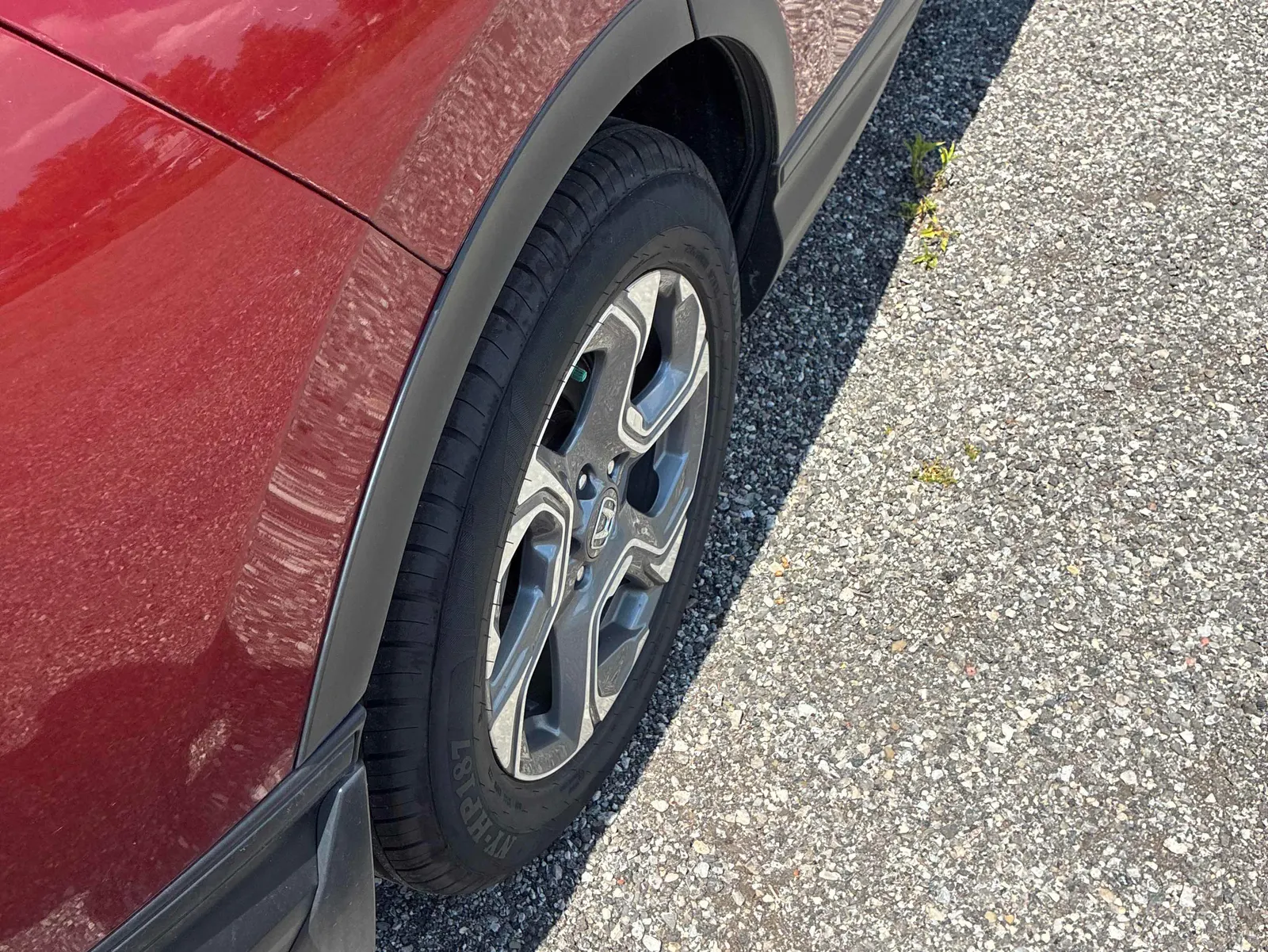 Additional Photo