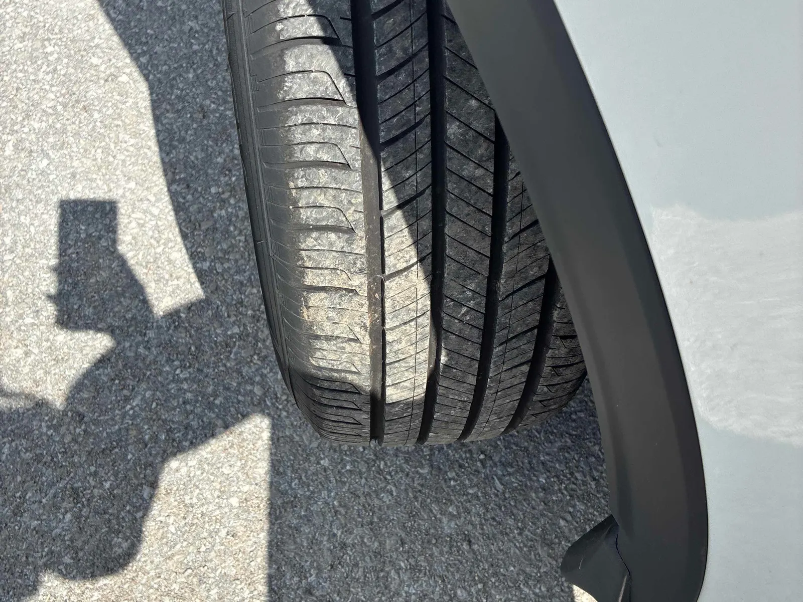 Additional Photo