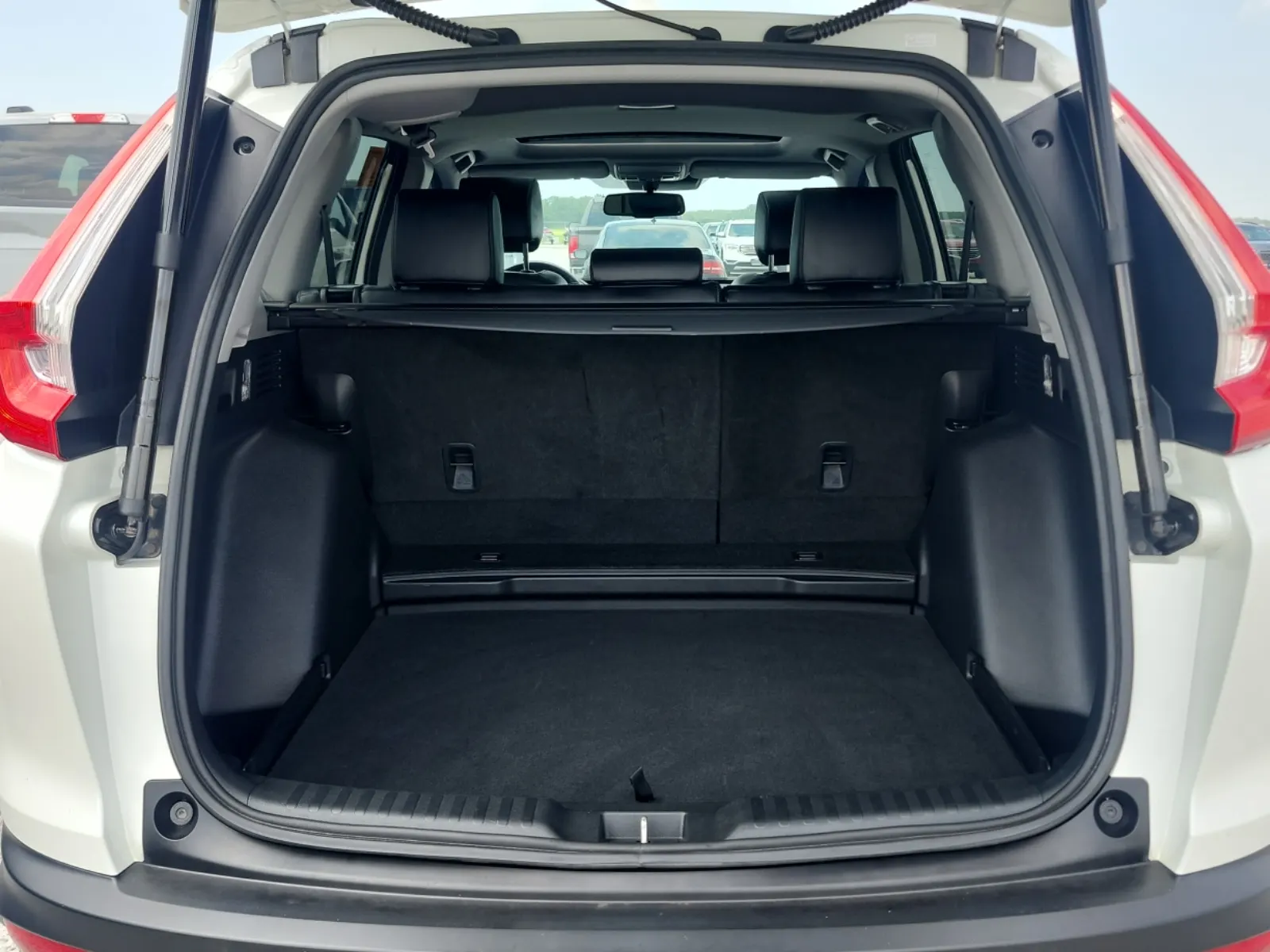 Cargo Area Photo