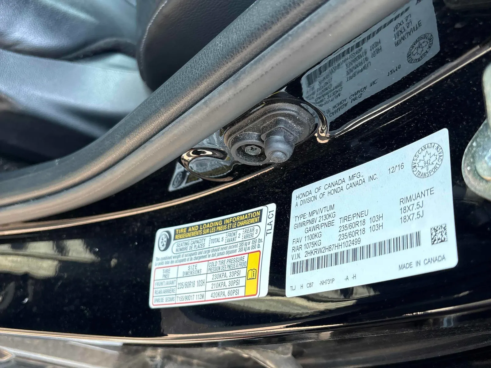 Additional Photo