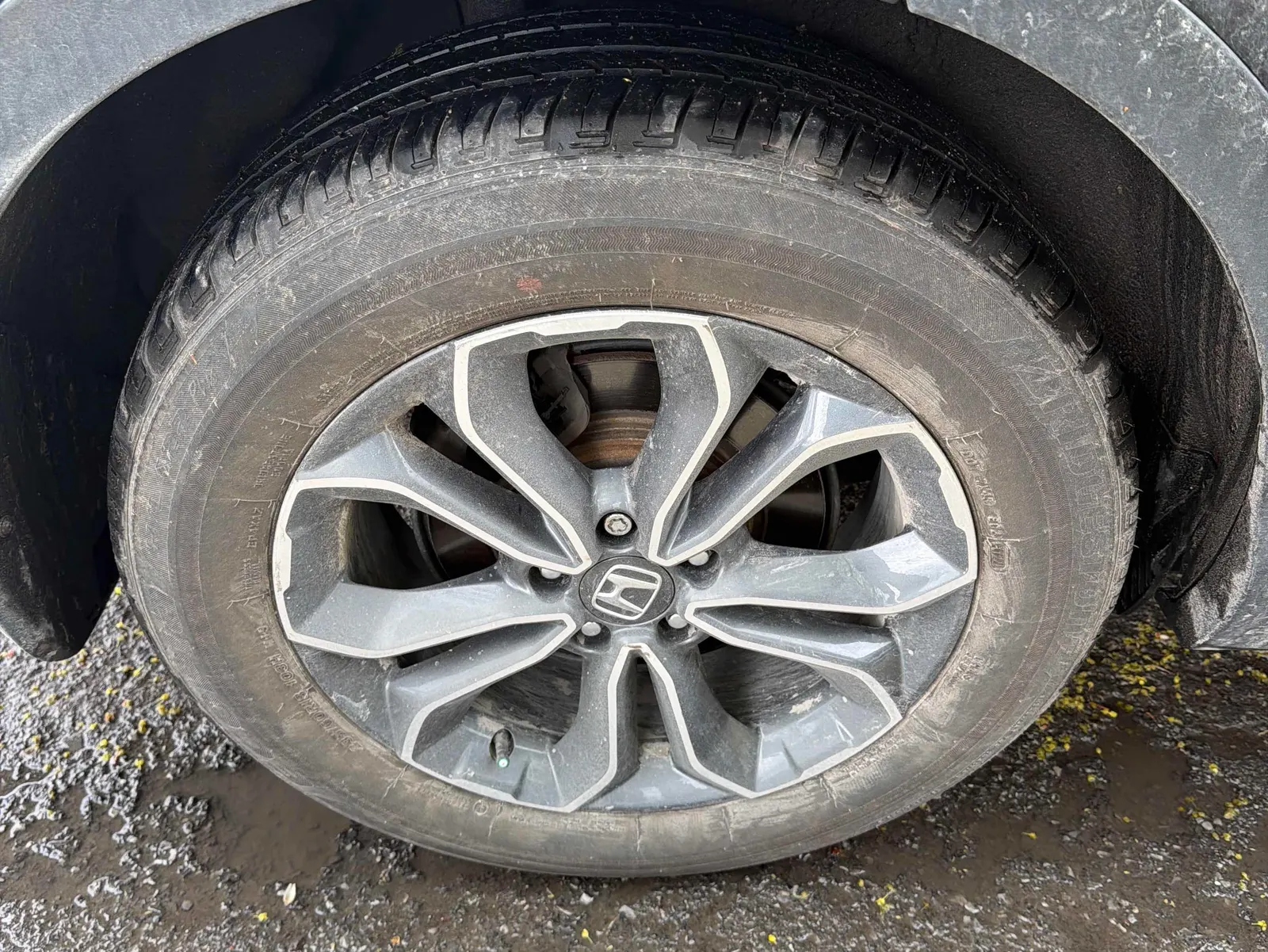 Tire