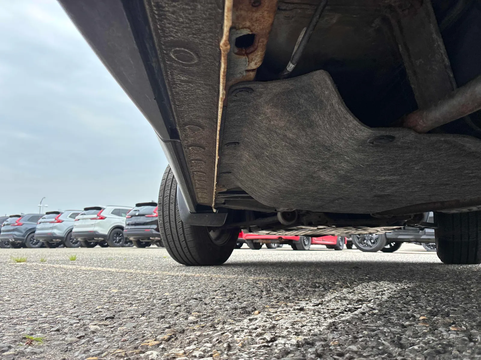 Additional Photo