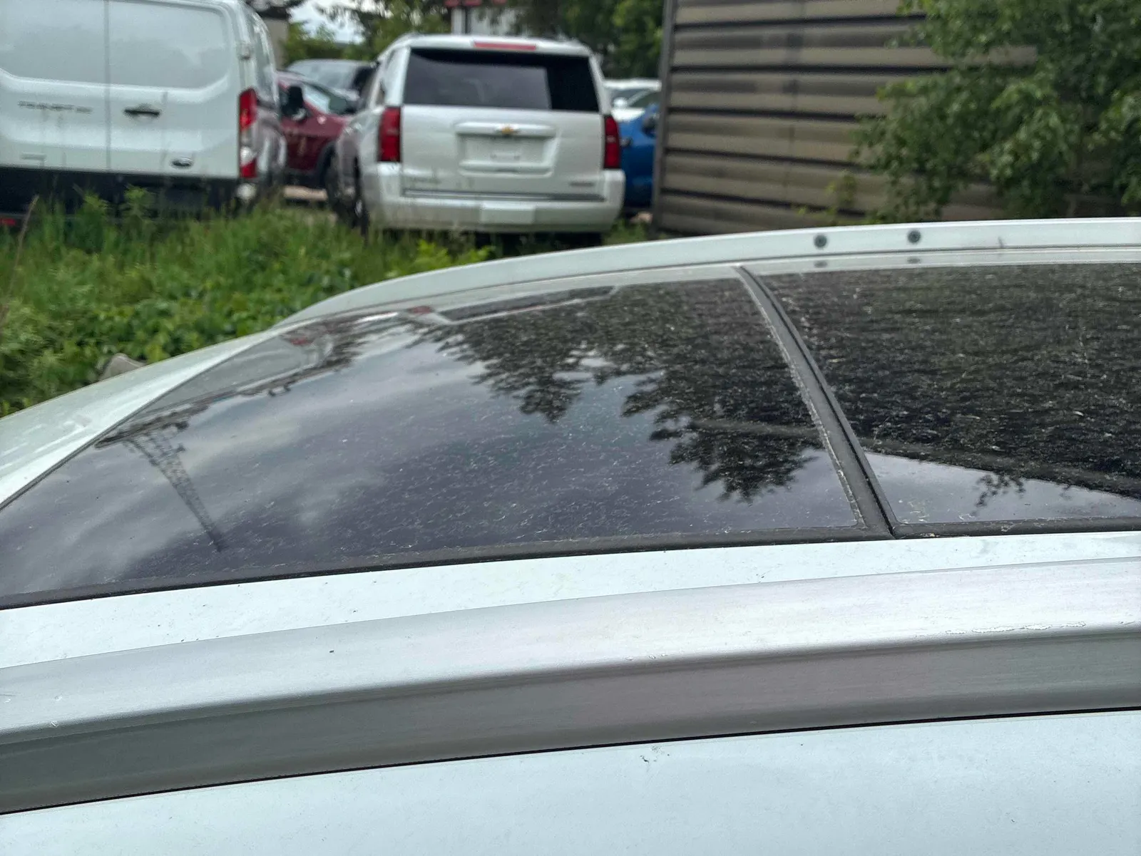 Additional Photo