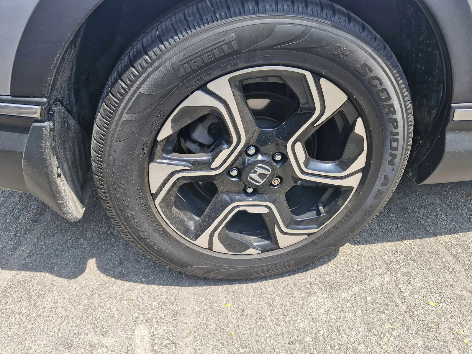 Additional Photo