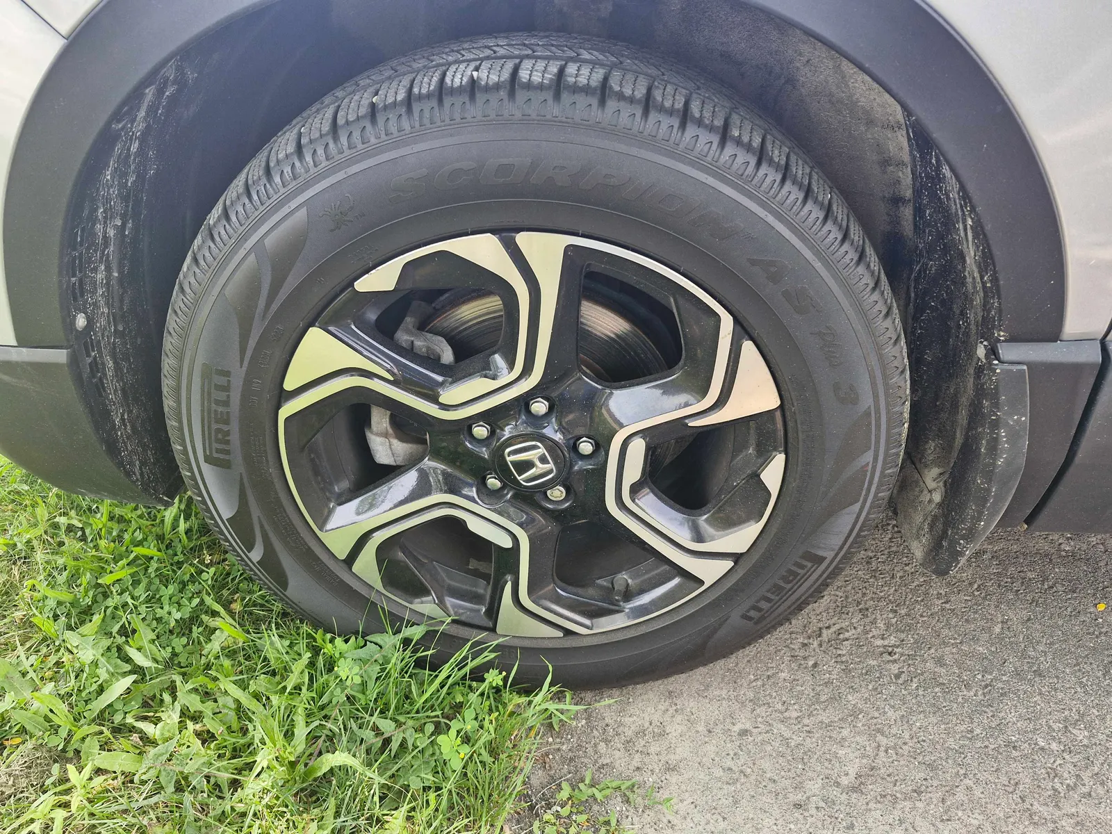 Additional Photo