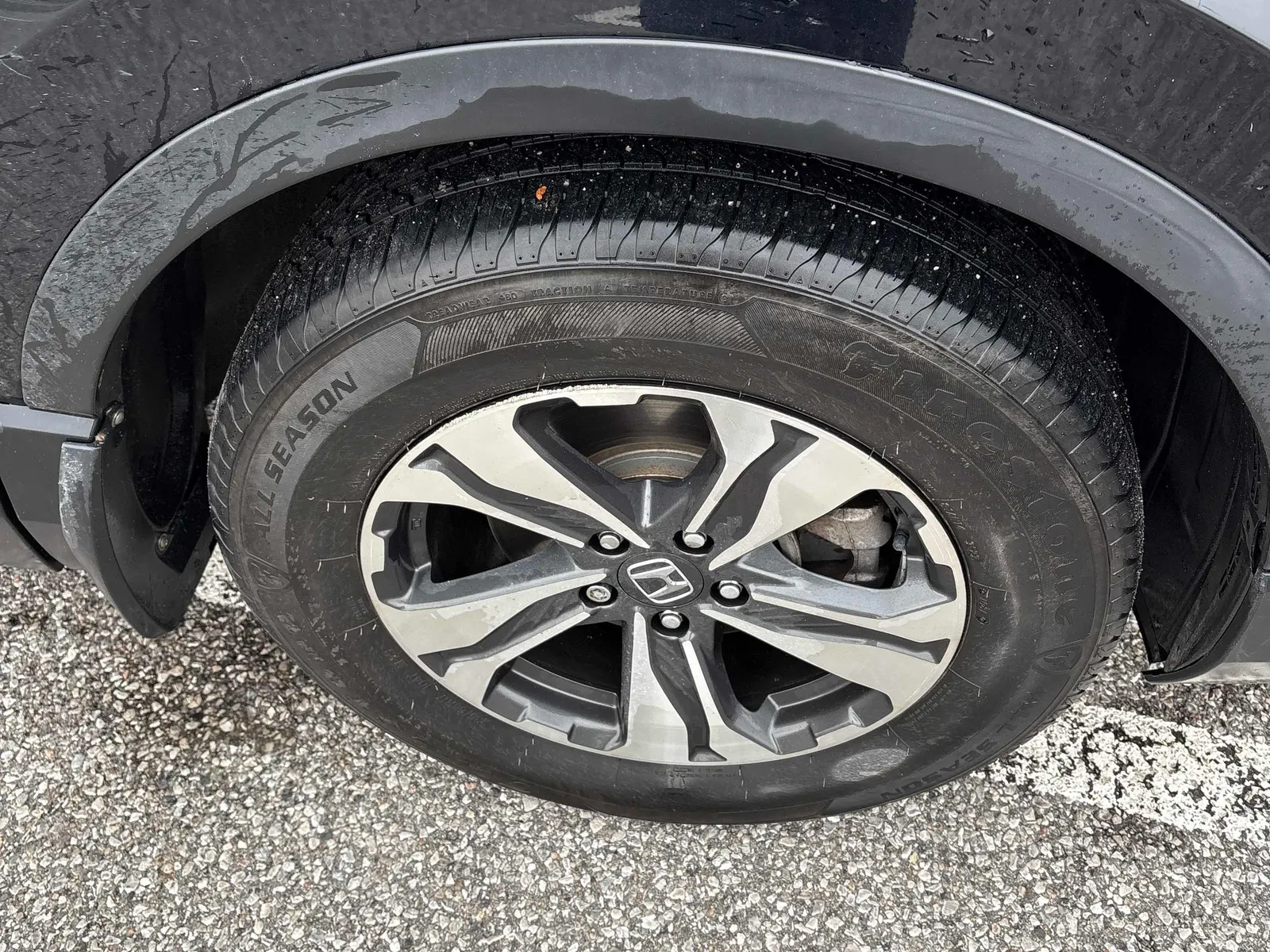 Tire