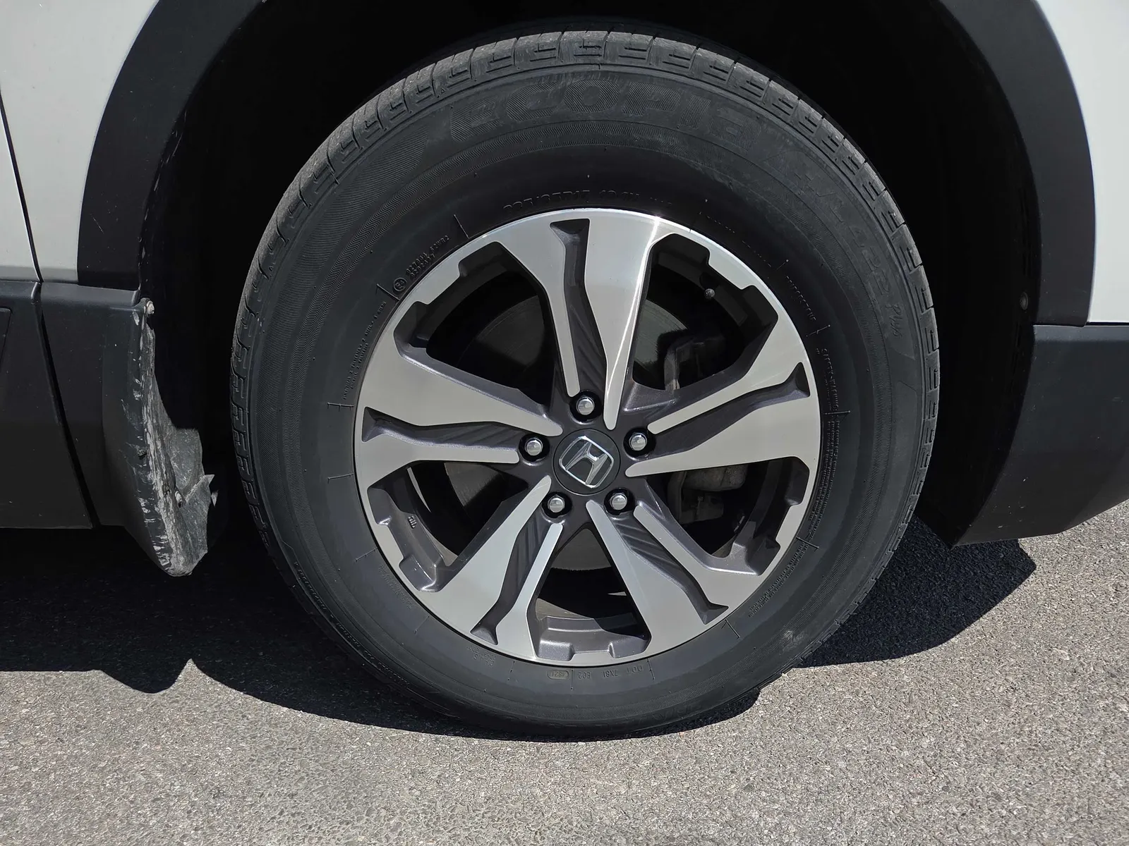 Tire