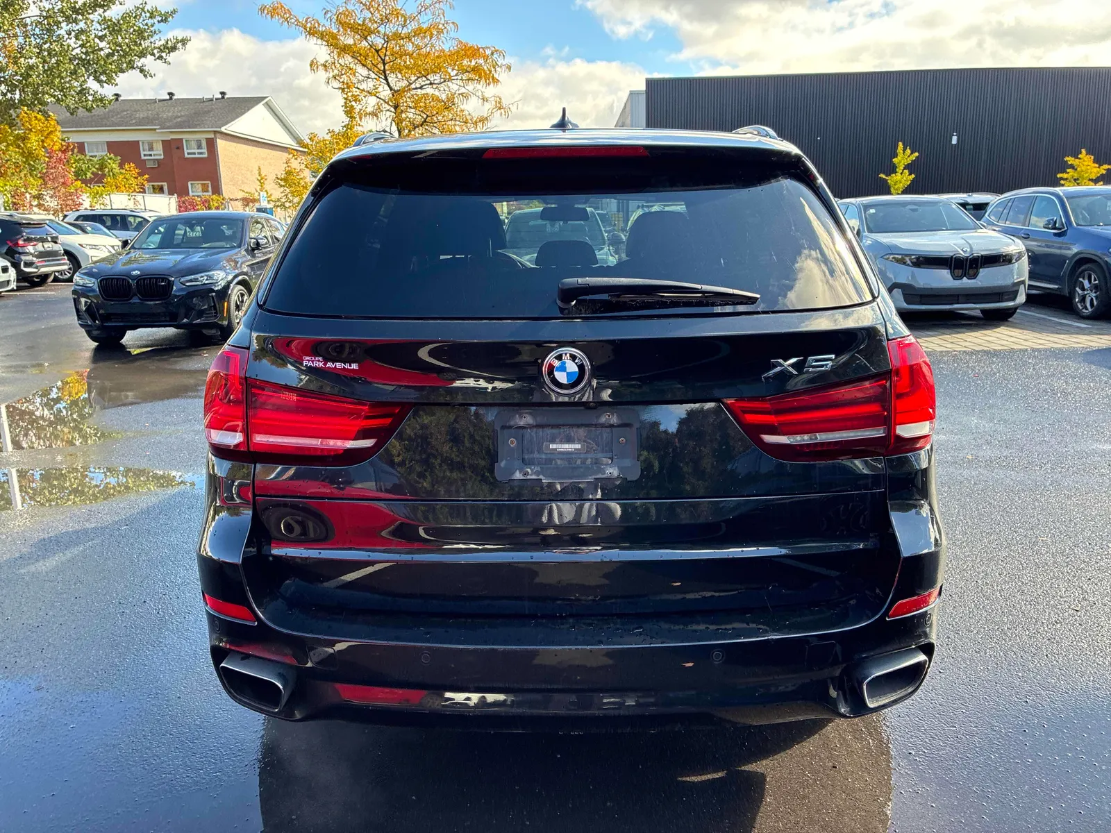 Back