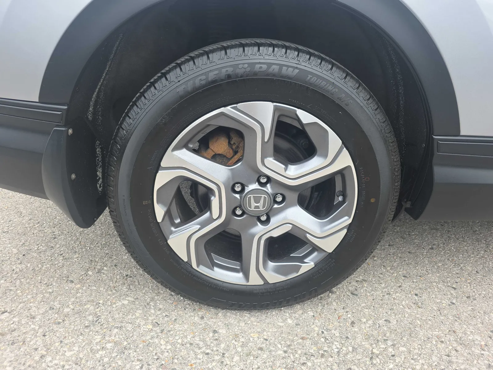Additional Photo