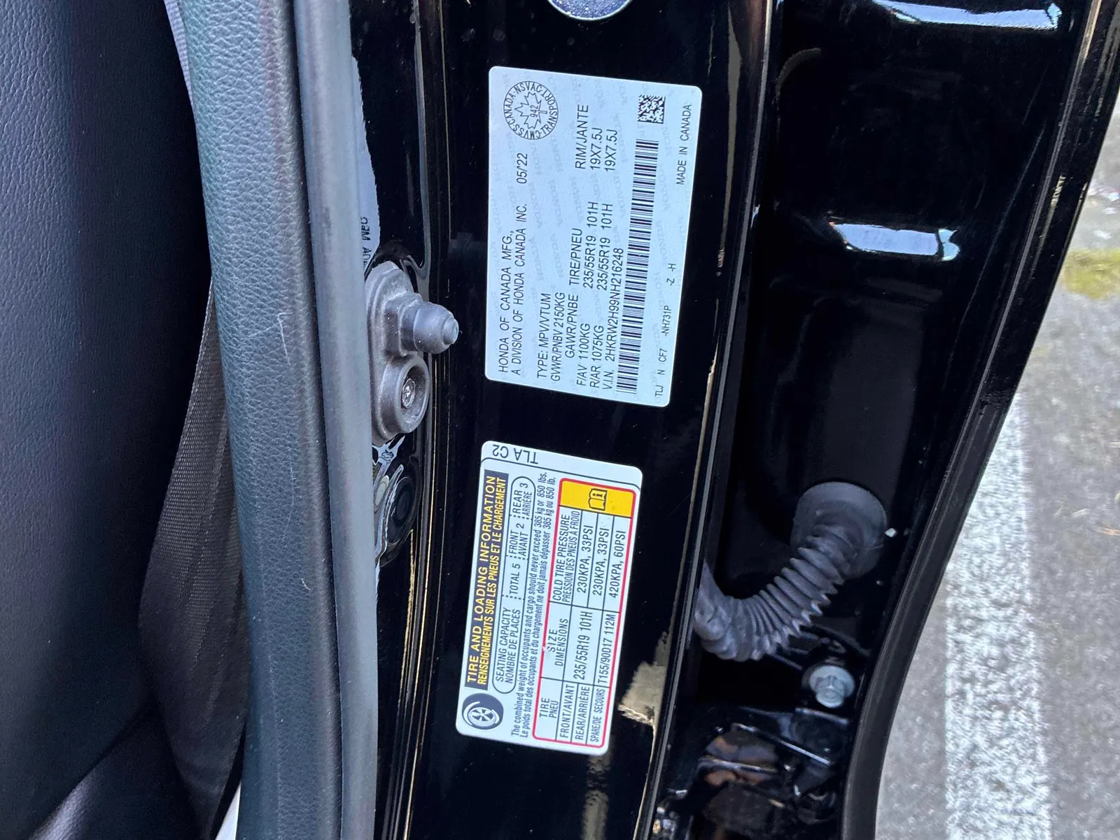 Additional Photo