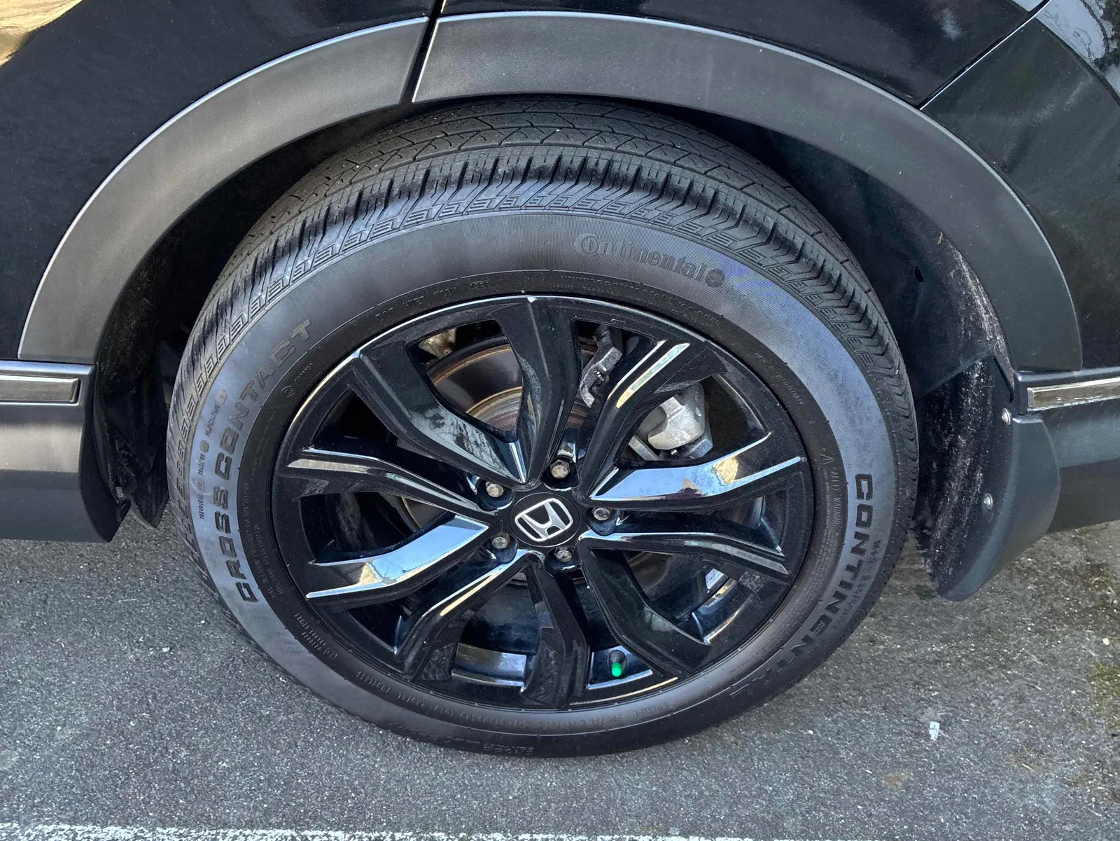 Additional Photo