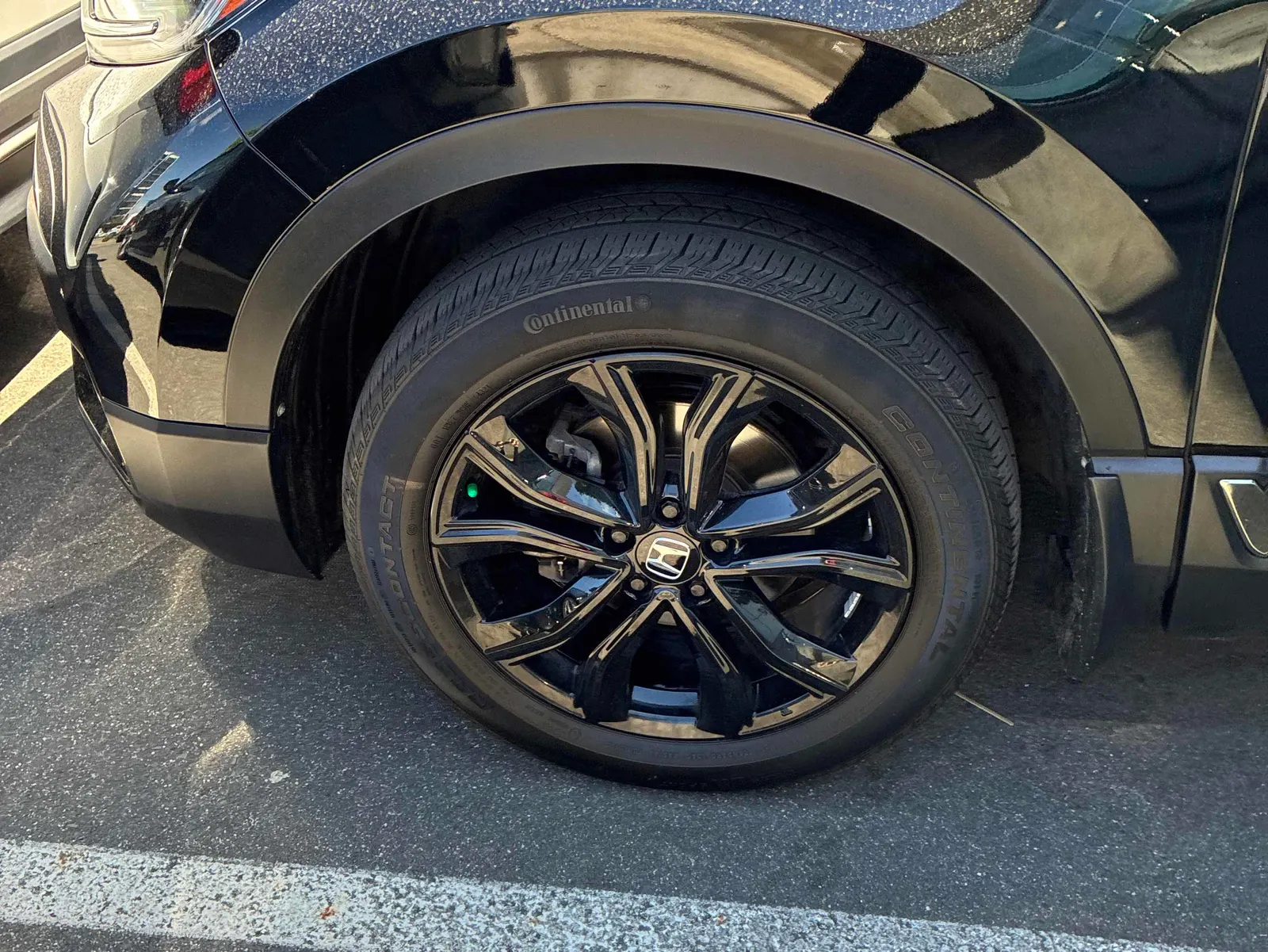 Additional Photo