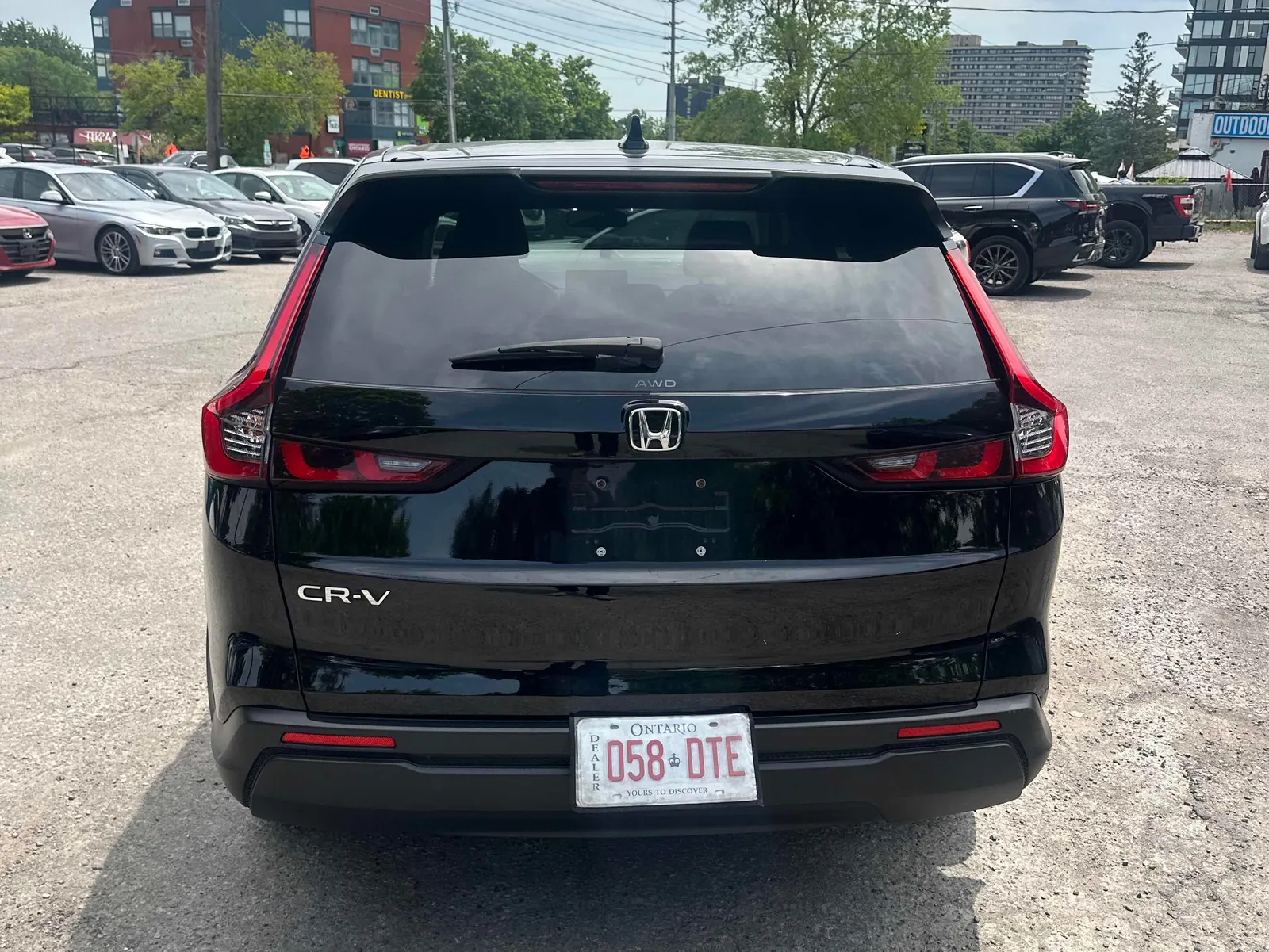 Back