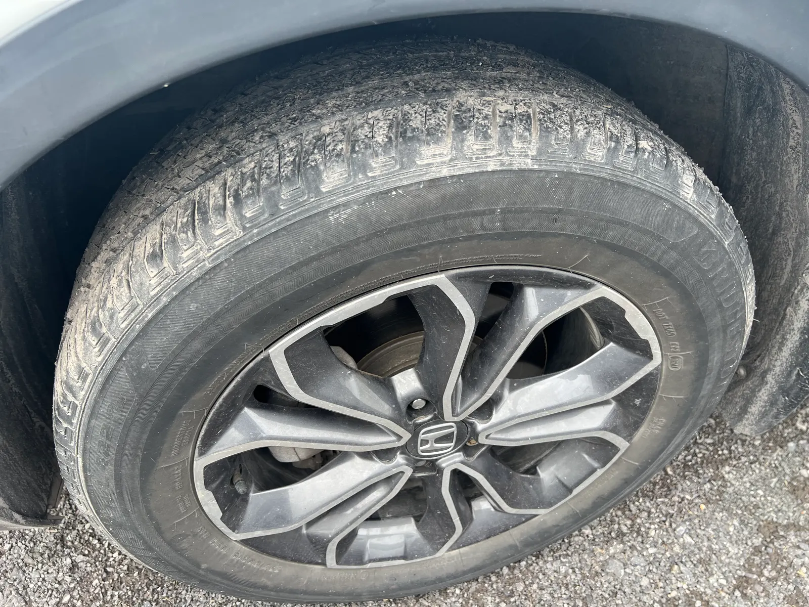 Tire