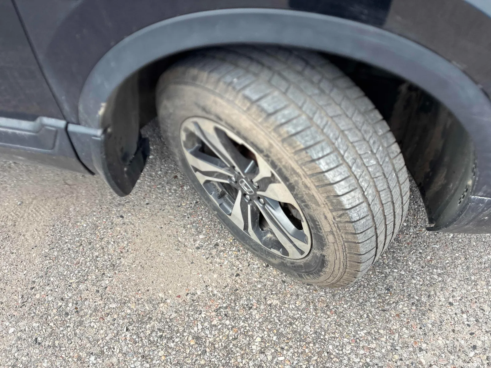 Tire