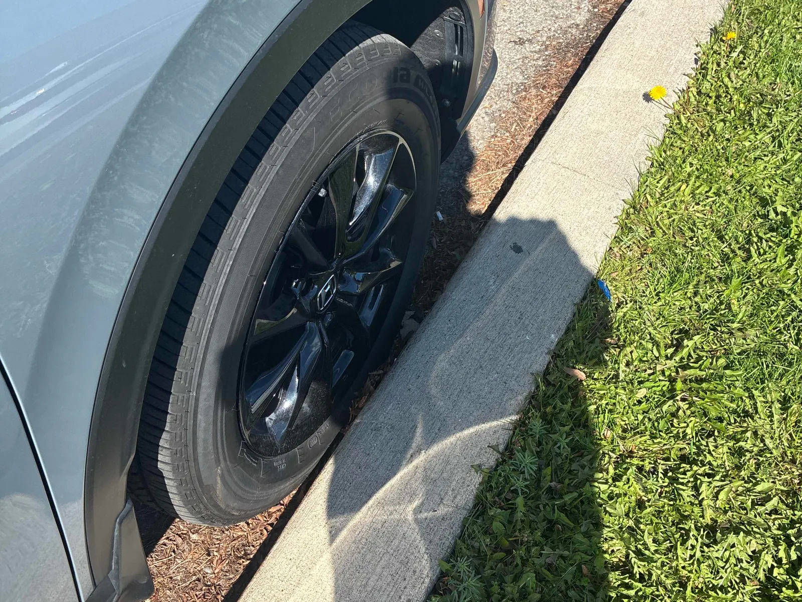 Additional Photo