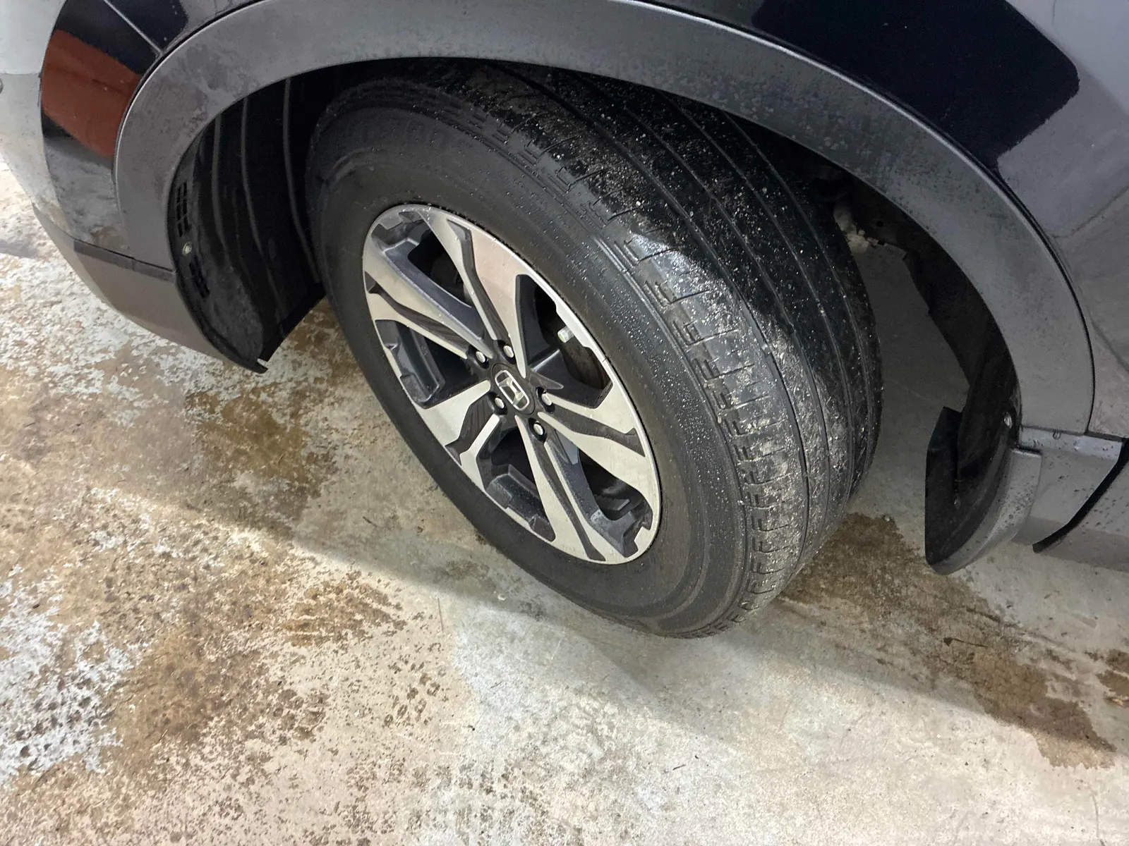 Tire