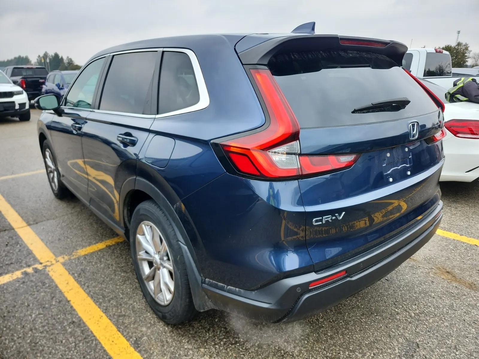Driver Rear 3/4 Photo