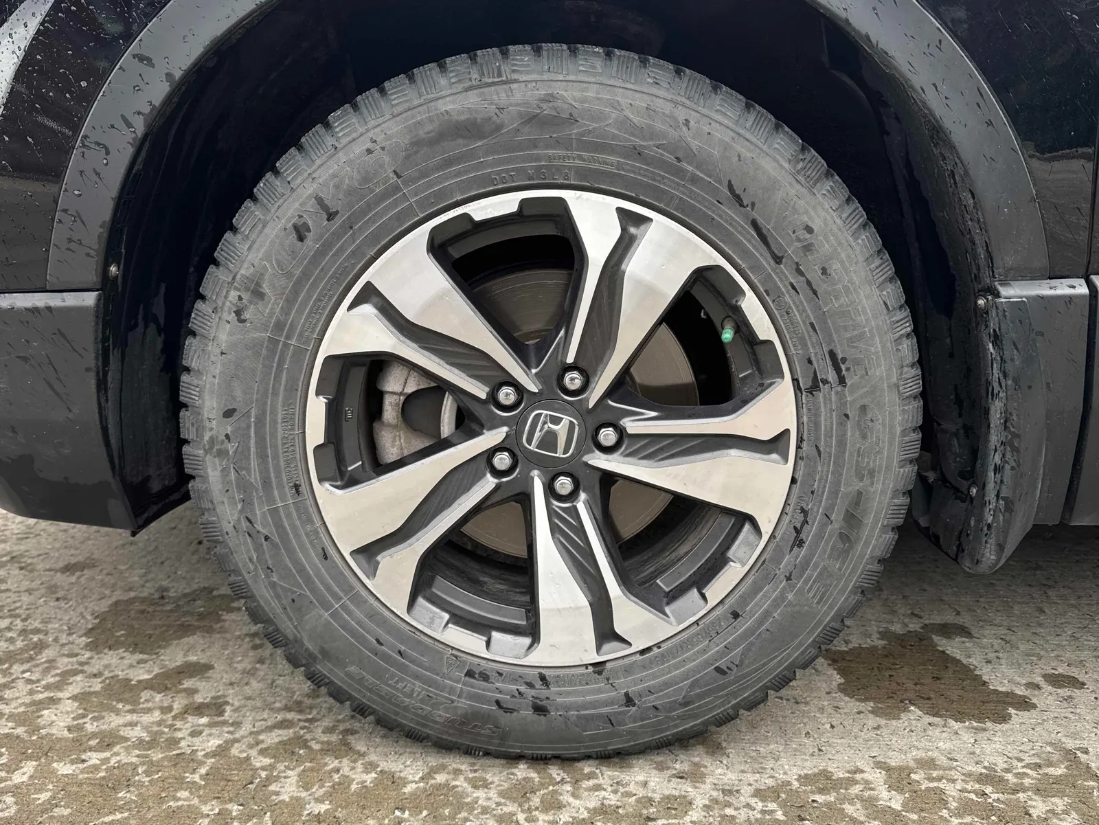 Tire